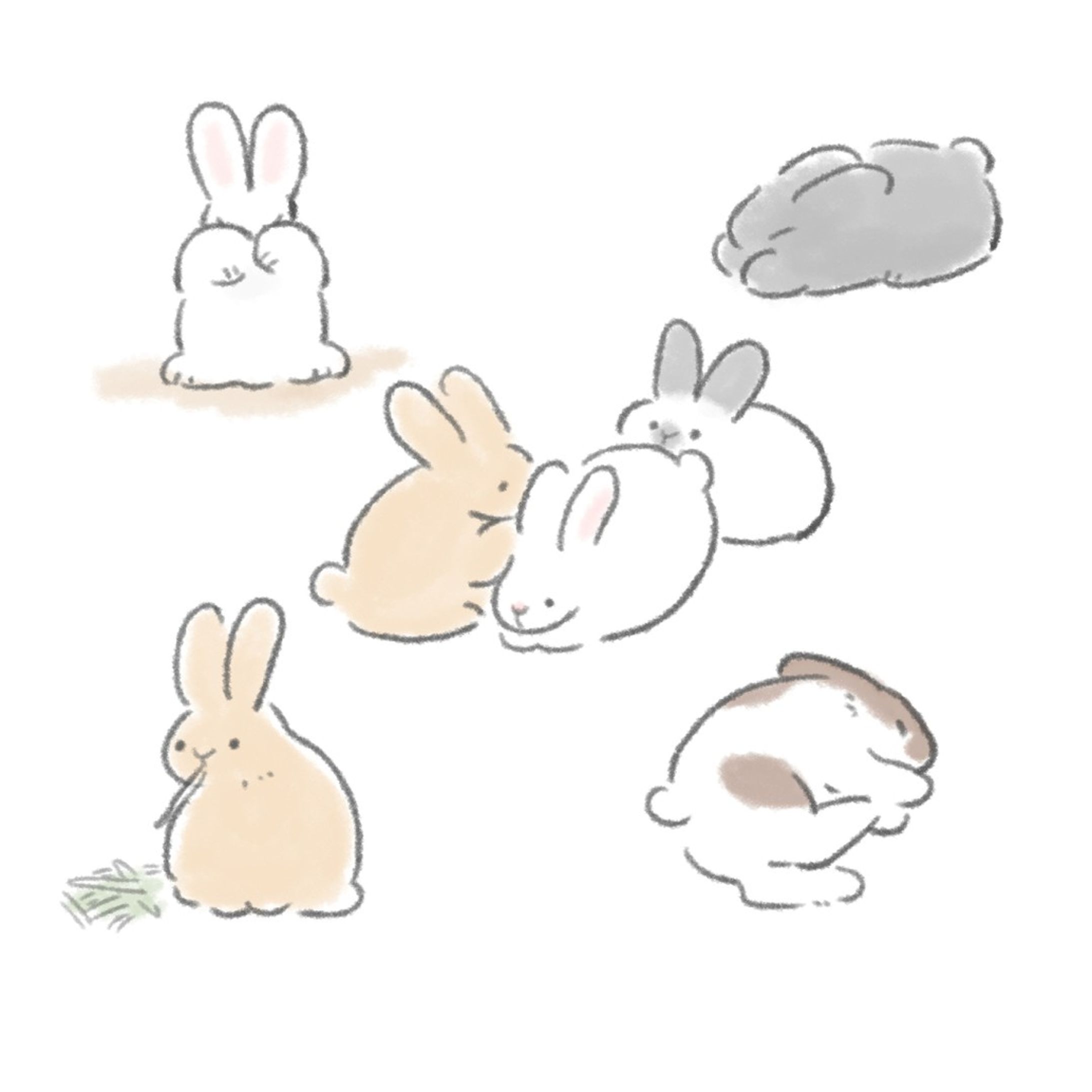 うさぎ-1
