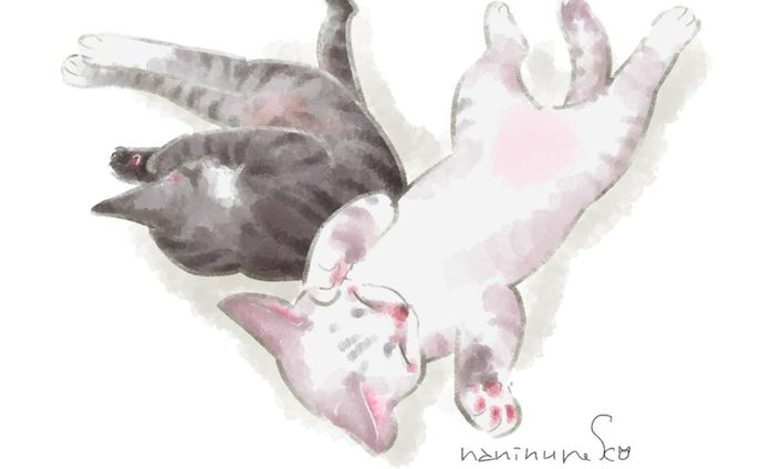 .
#なにぬ猫 #なにぬ猫んち  #猫漫画 
.
先ほどのポストに続いて…
今日はもうひとつ大事な記念日。
カーオとダーオが9年前我が家の庭に現われた日。
.
生後数日の小さすぎて危うい命。
当時つながっていた方たちに助けられて無事大きく健康に育ちました。
.
すべての猫と猫を愛する人に幸せが降り注ぎますように🥰.
.
カーオとダーオももうすぐ登場
「なにぬ猫んち。」は、なにねこブログとnoteでただいま絶賛掲載中。
覗いてみてね💕.
また、FANBOX会員には＋限定記事つきで先行公開もしています。
なにぬ猫BOOTHから紙本版vol.4も出ました！
プロフィールからどうぞ
.
#なにぬ猫booth 
#ねこと暮らす 
#地域猫 
#ねこまんが 
#コマ漫画 
#うちのこグッズ 
#うちの子イラスト 
#illustragram 
#いらすとぐらむ 
#ふわもこ部猫 
#cat 
#แมว 
#meow 
#にゃんだふる .