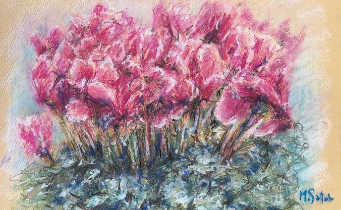 「シクラメン」
オイルパステル　Museパステル紙　F4

#静物画 #シクラメン #花の絵 #オイルパステル #メリークリスマス #stilllife #cyclamen #flowerpainting #oilpastel #merrychristmas
