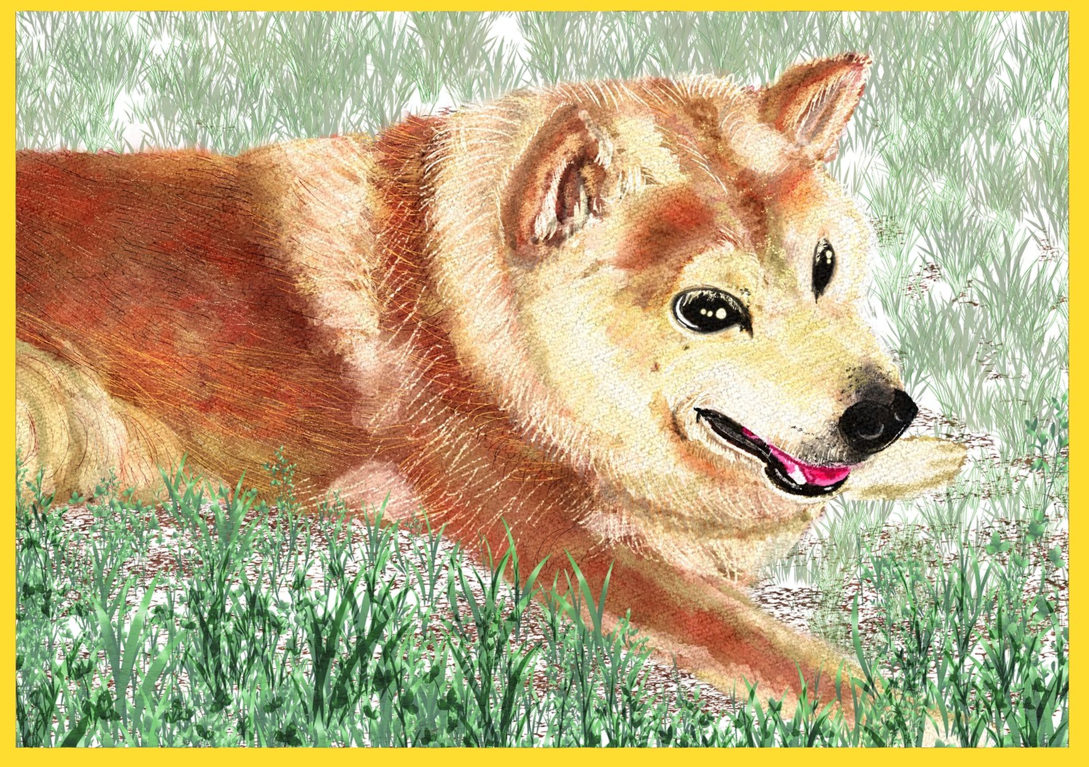 10歳くらいの太郎さん！
#柴犬 
#犬スタグラム 
#イラスト受付中
#16歳6ヶ月-1
