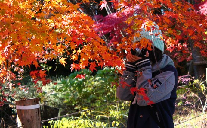 紅葉と少女