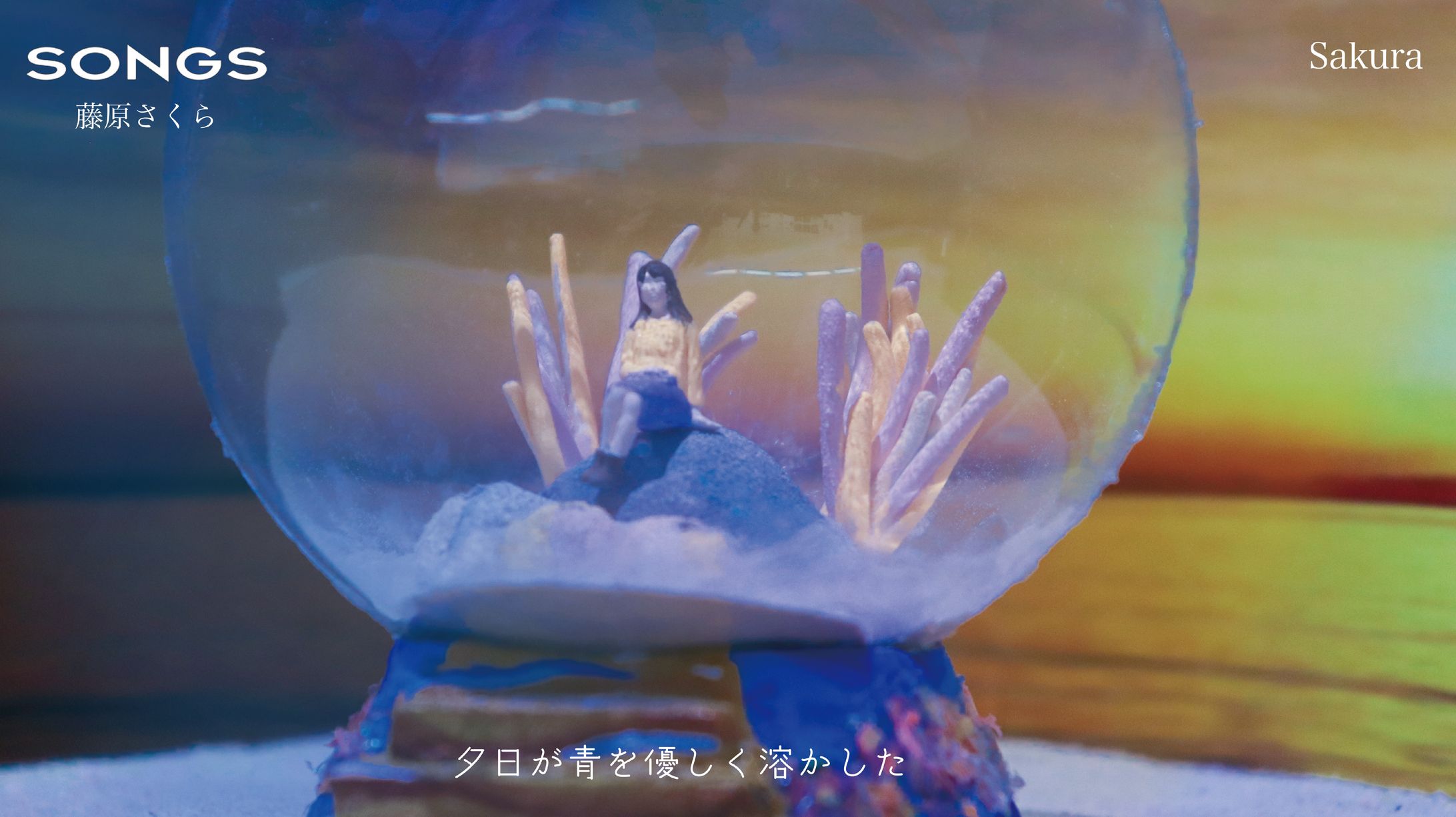 藤原さくら Sakura -1