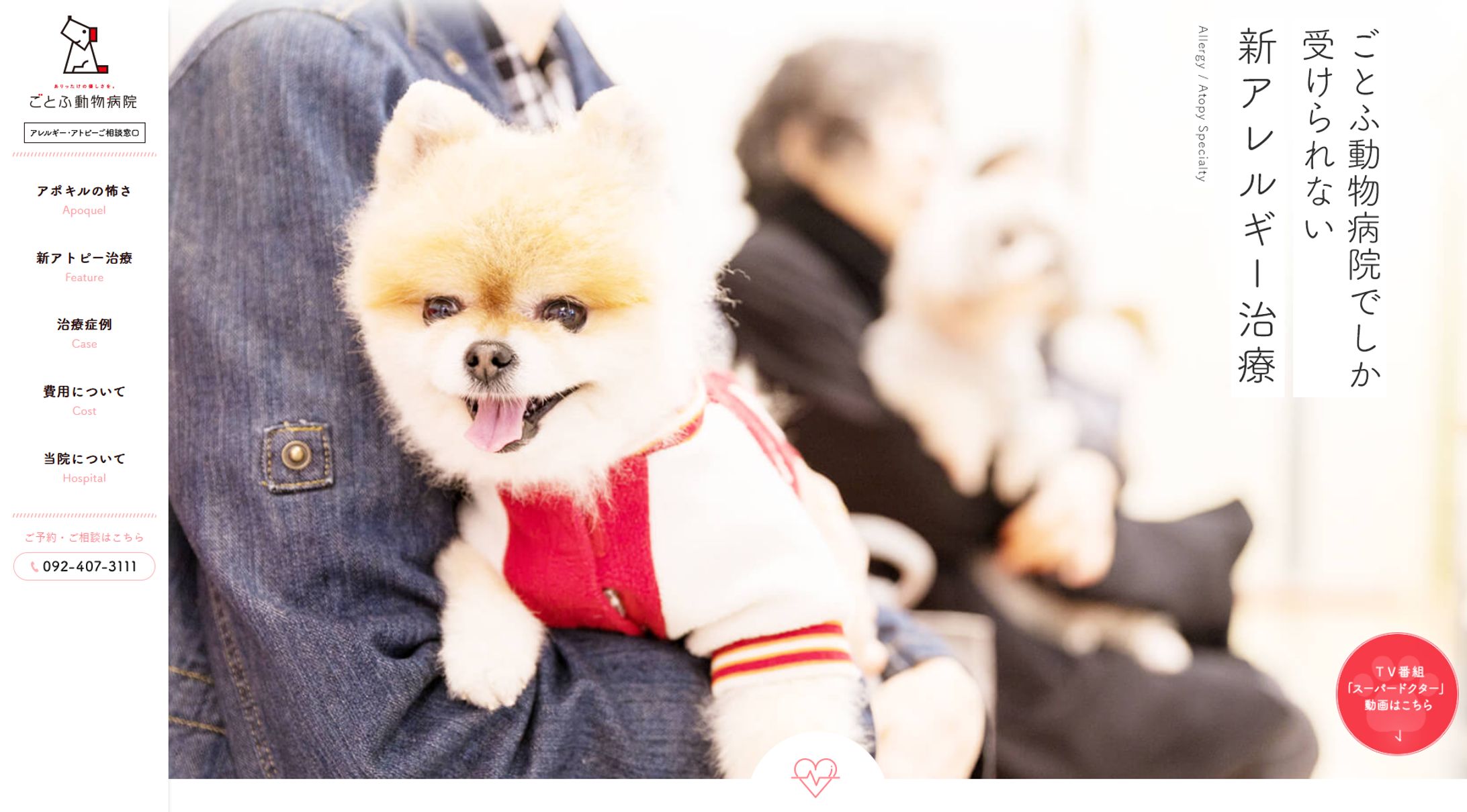 動物病院　WEBサイト-1