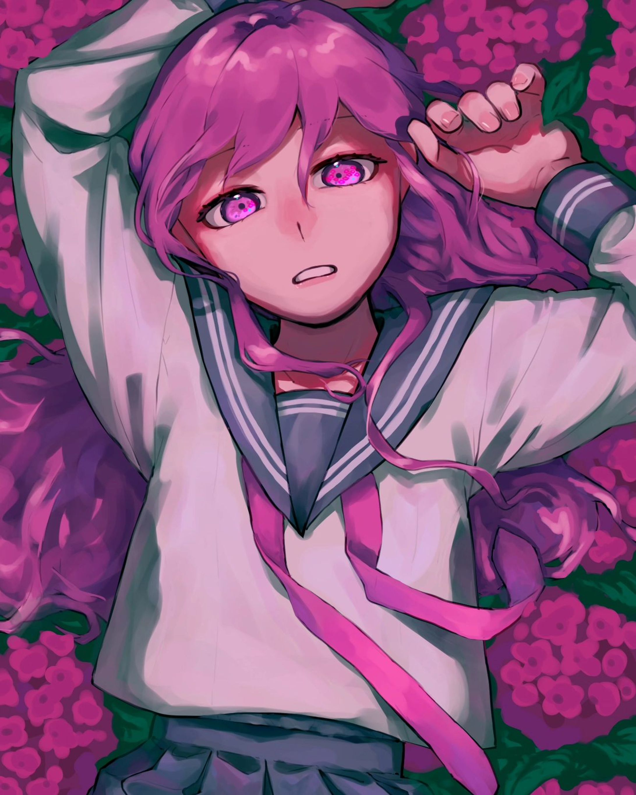 ❖Hydrangea⁡-1