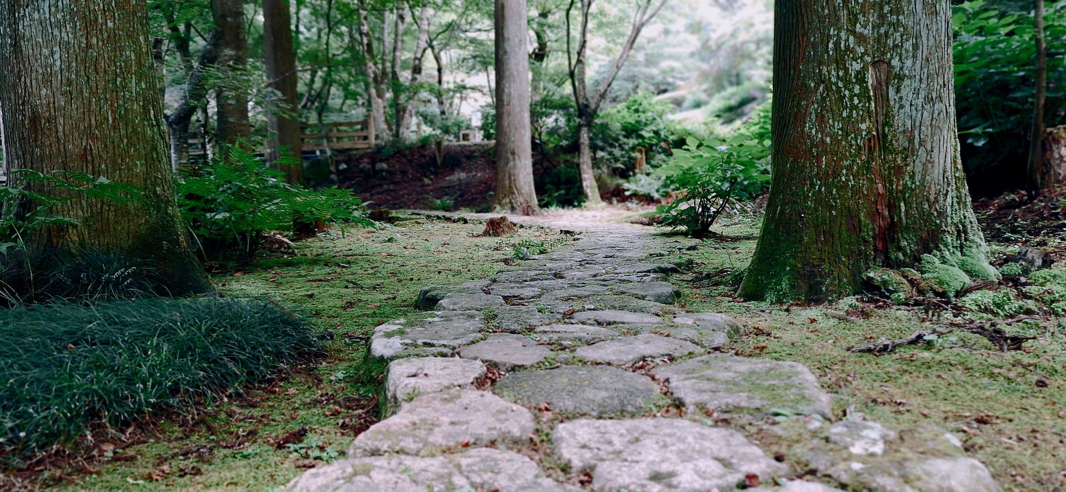 環境芸術の森-1