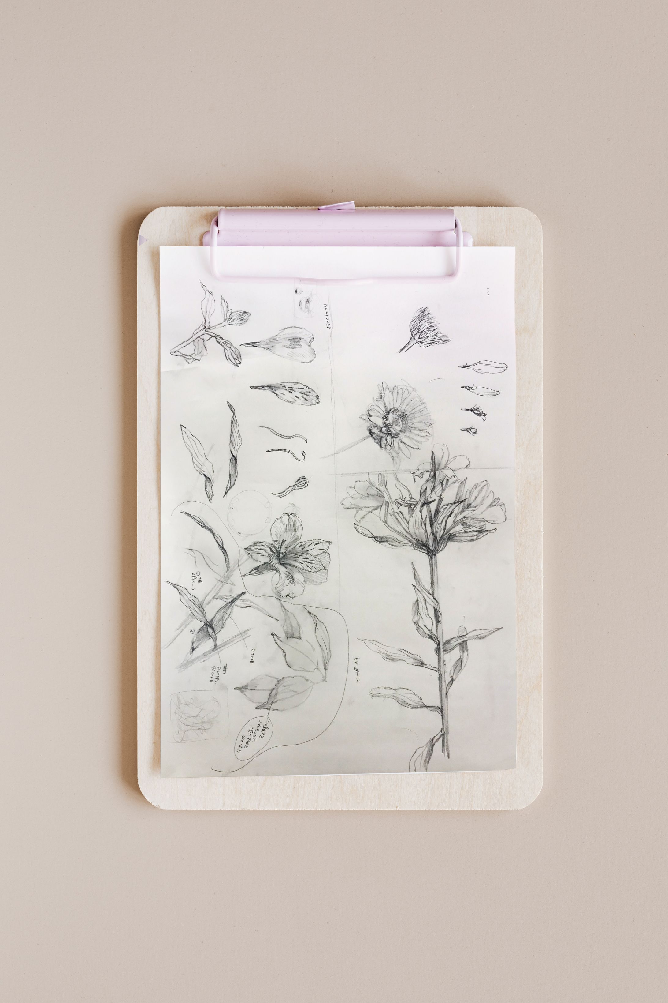 flower sketch 2019-1