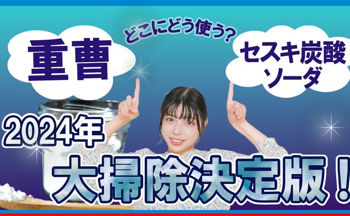 大掃除特集サムネイル