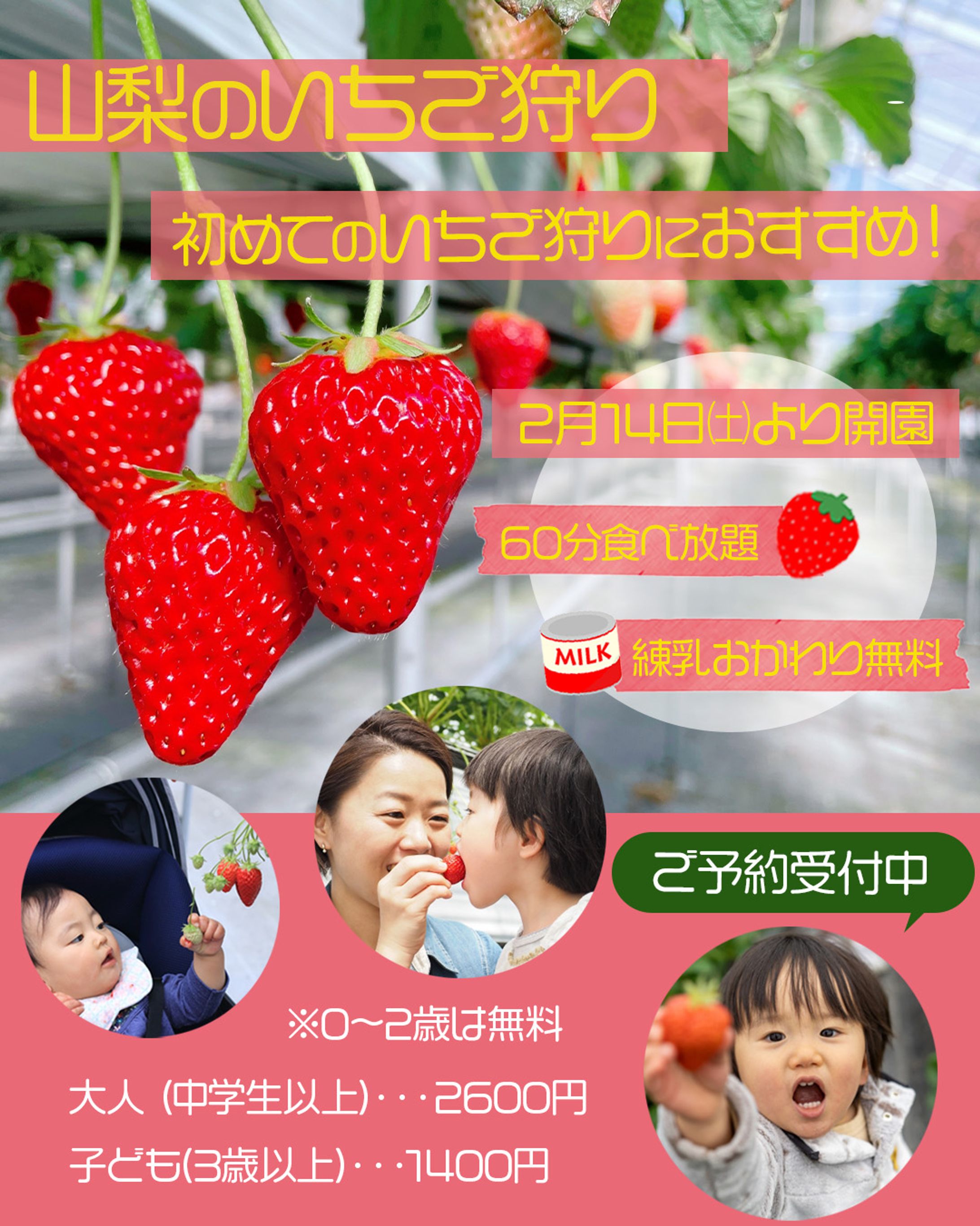 いちご狩り-1