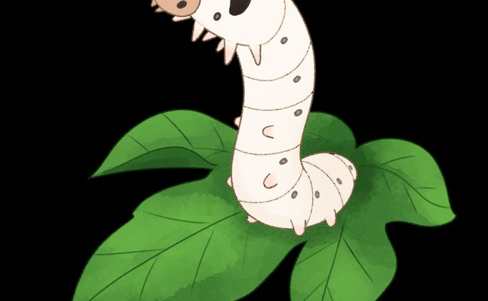 mvイラスト、撮影も担当
