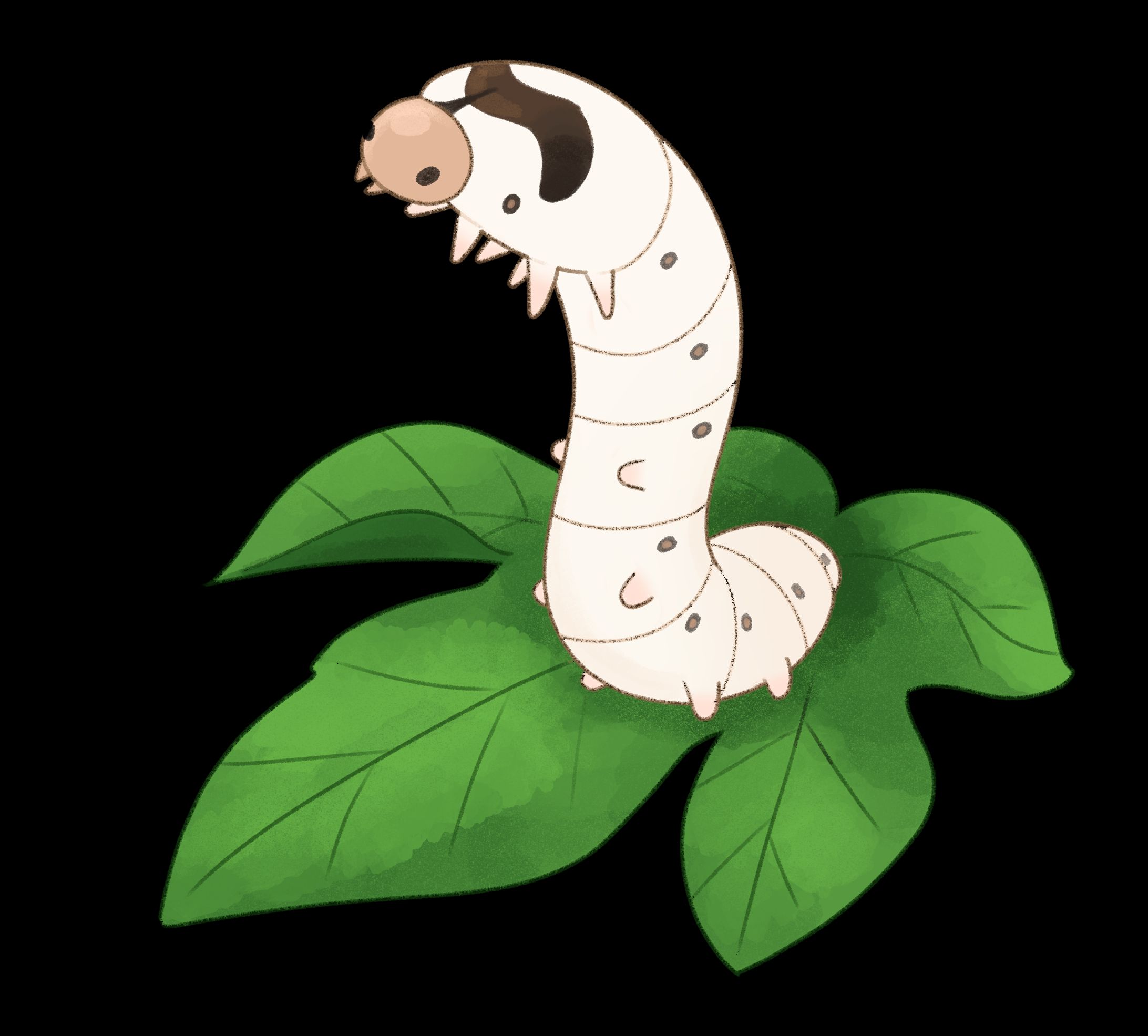 蚕イラスト　担当:蒼ジ-1