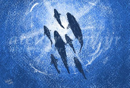 サカナト」記事内挿絵 / Illustrations for “Sakanato” article