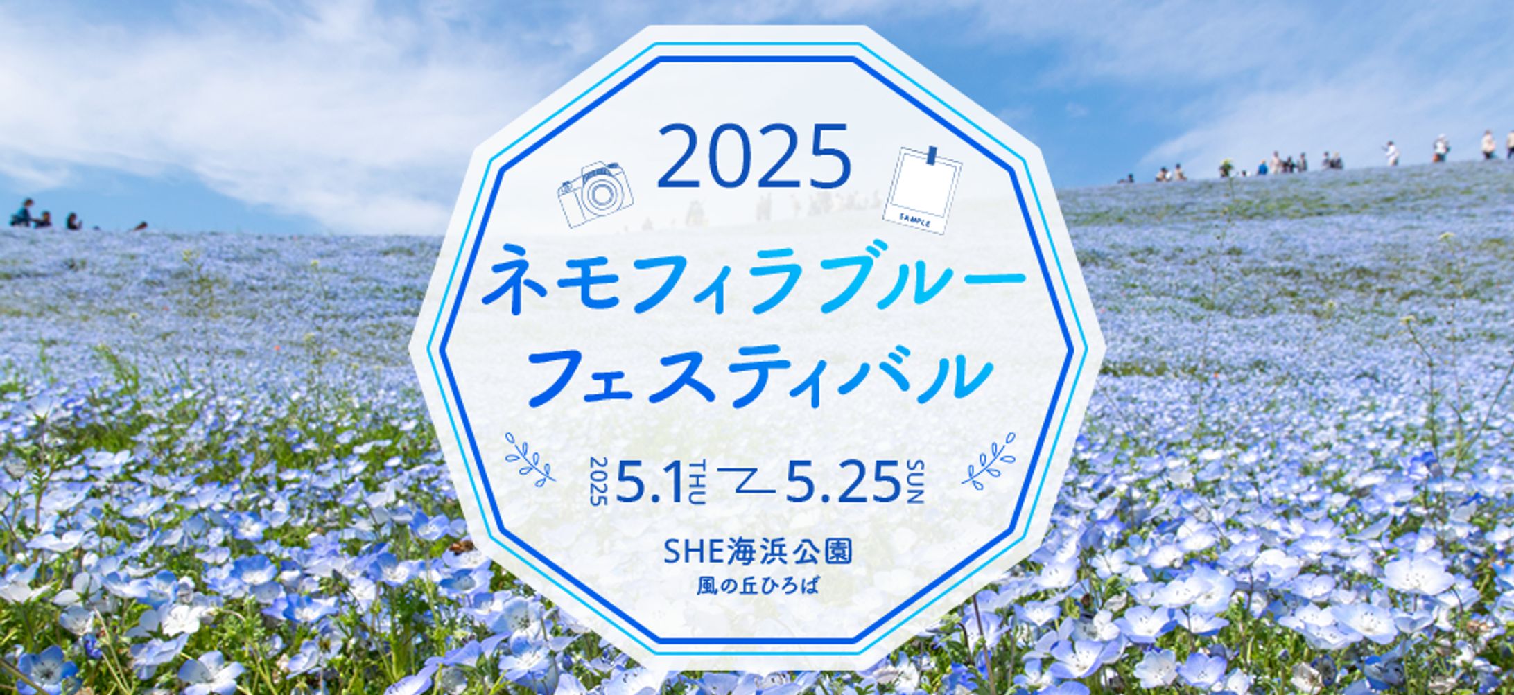 自主制作　ネモフィラフェスティバル　バナー-1