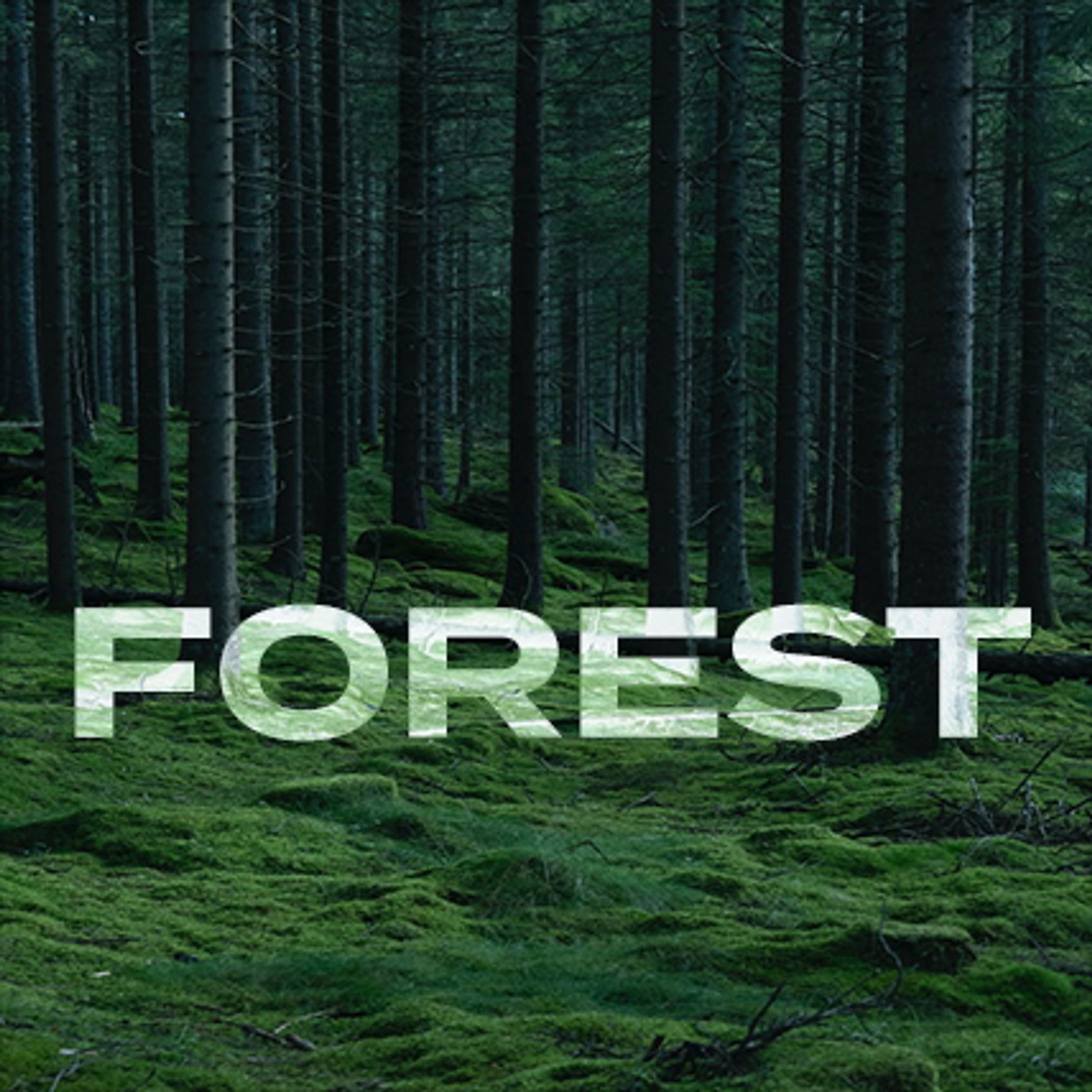 文字で背景を透かす FOREST-1