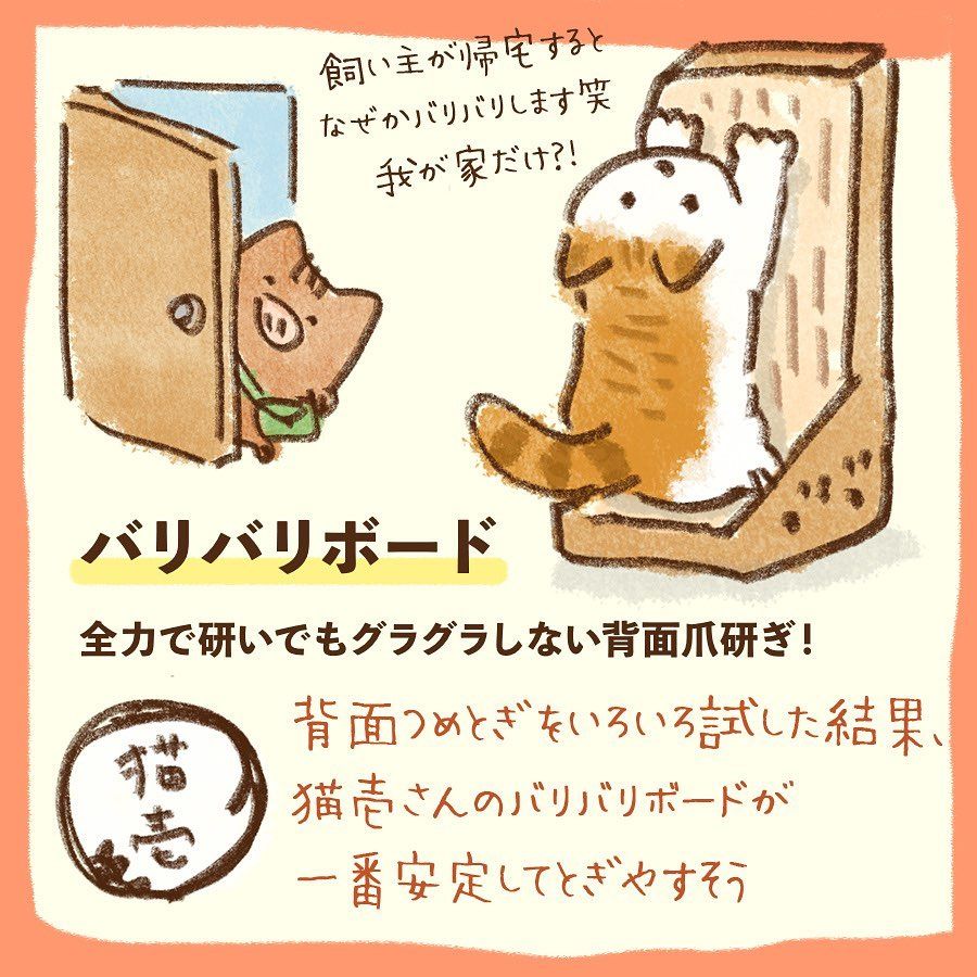 我が家の買ってみてよかった猫さまグッズでーす🐾 みんにゃのお家編も気になる…！🤔 来年も貢がせていただくぞ〜🤑 #茶白 #茶白猫 #キジ白 #サバ 白 #キジシロ#はちわれ #ヅラ猫 #にゃんすたぐらむ #ねこすたぐらむ #猫のいる暮らし #猫好きさんと繋がりたい #cat ...