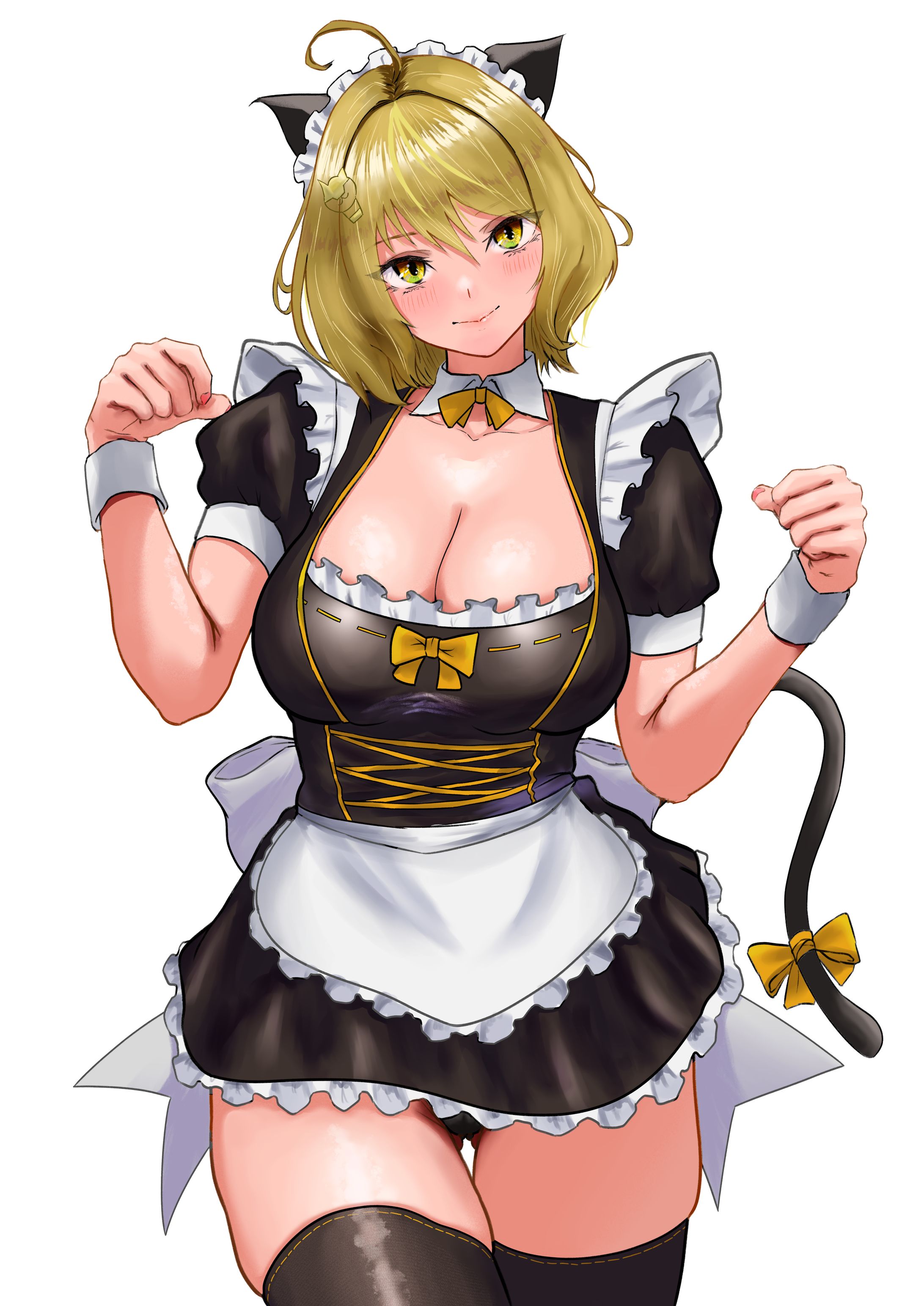 アニス-1