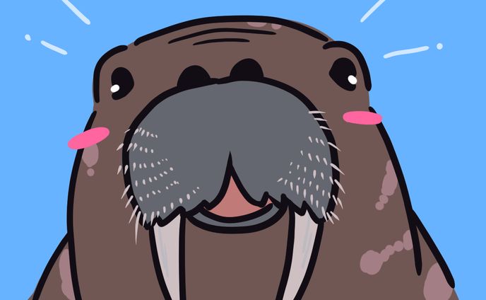 アイコン｜セイウチ