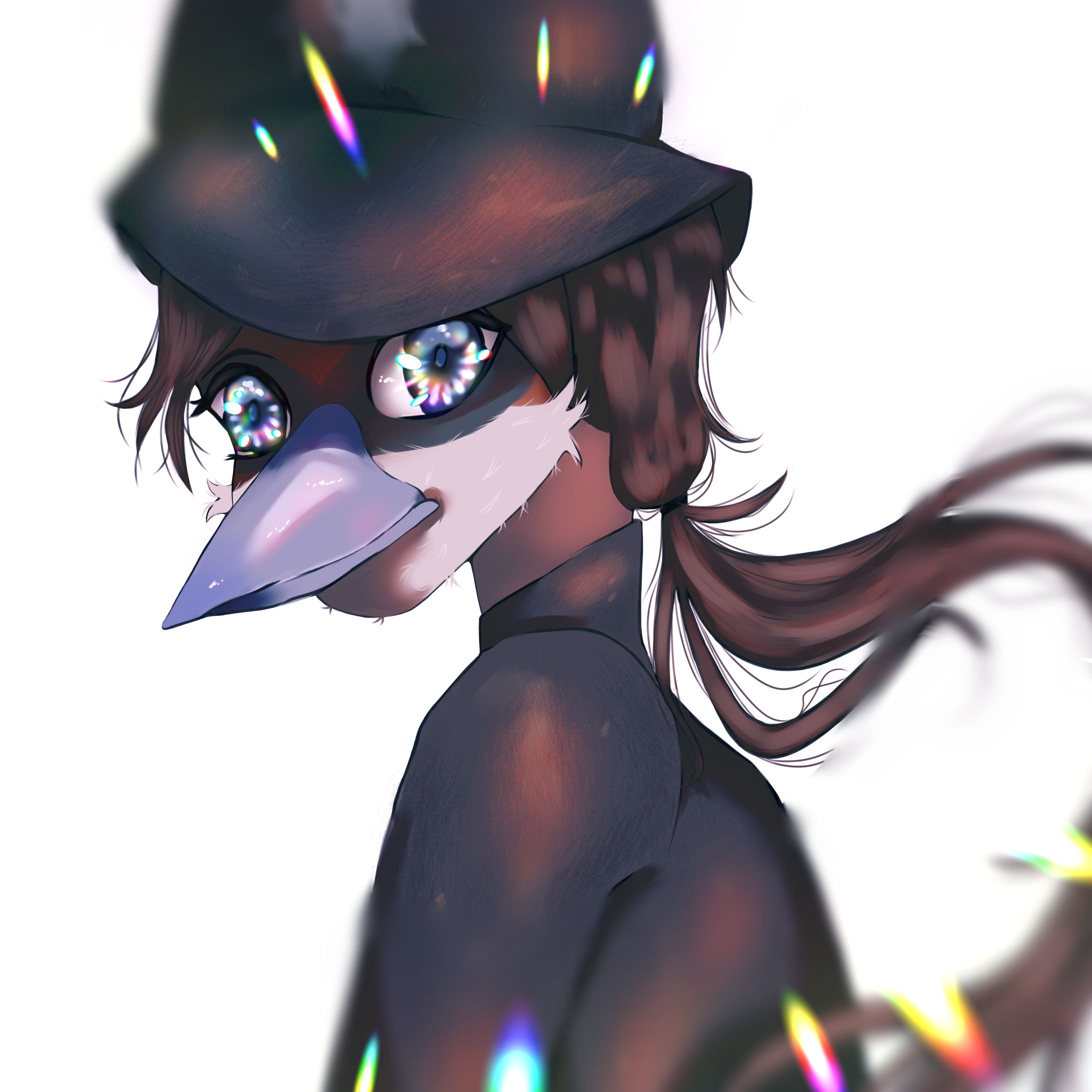 Bird OC Illustration-1
