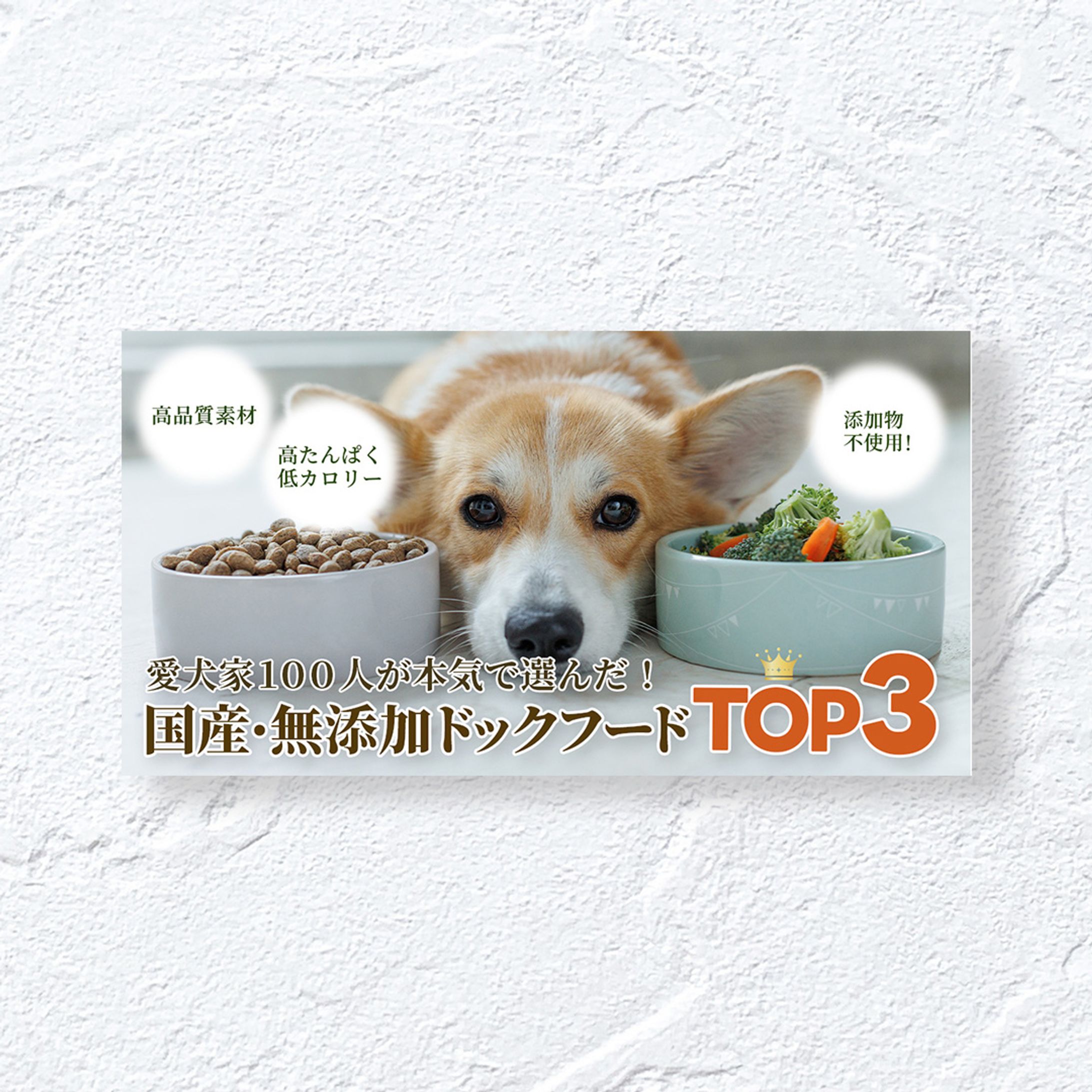 【アイキャッチ】ドックフード比較サイト-1