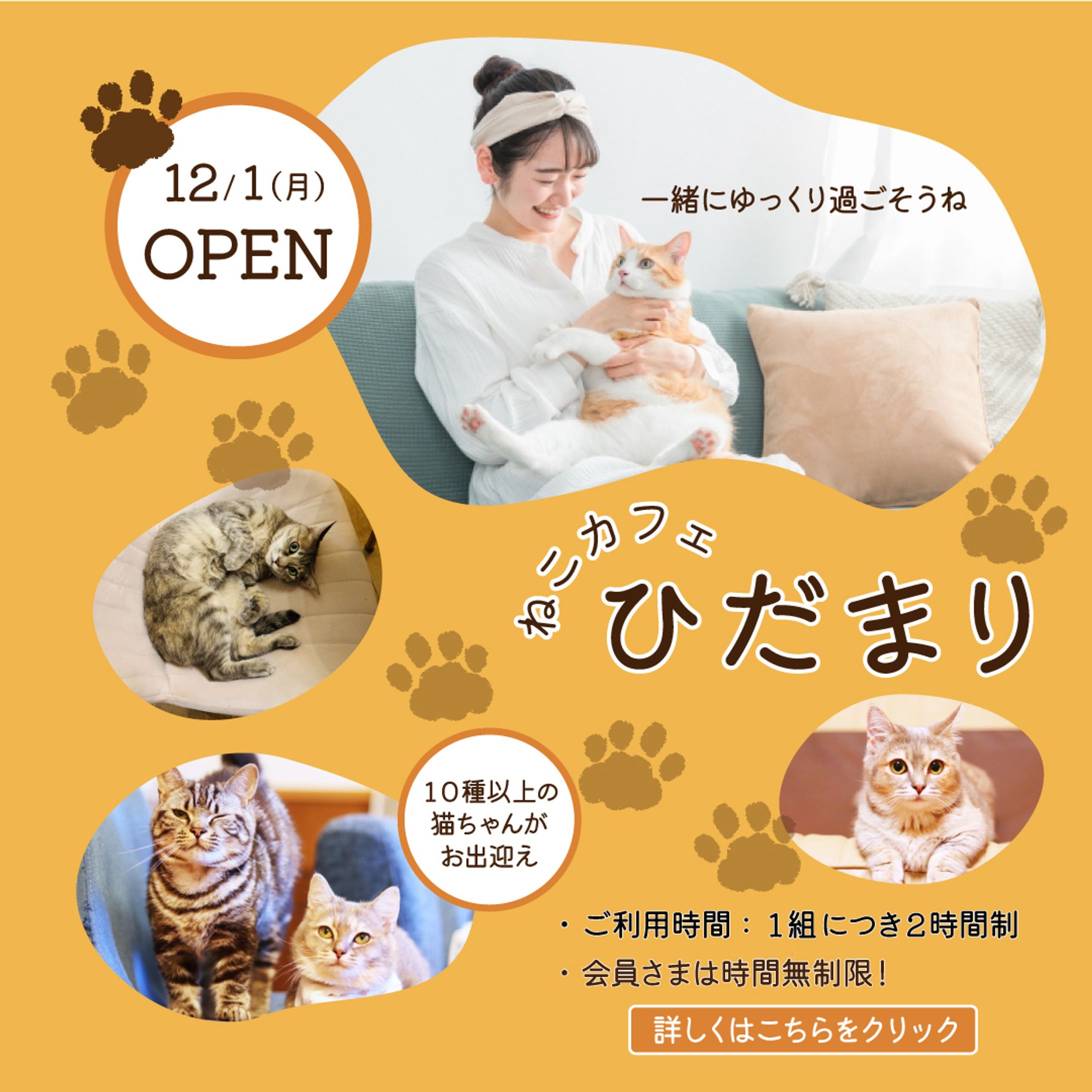 ペットカフェ-1