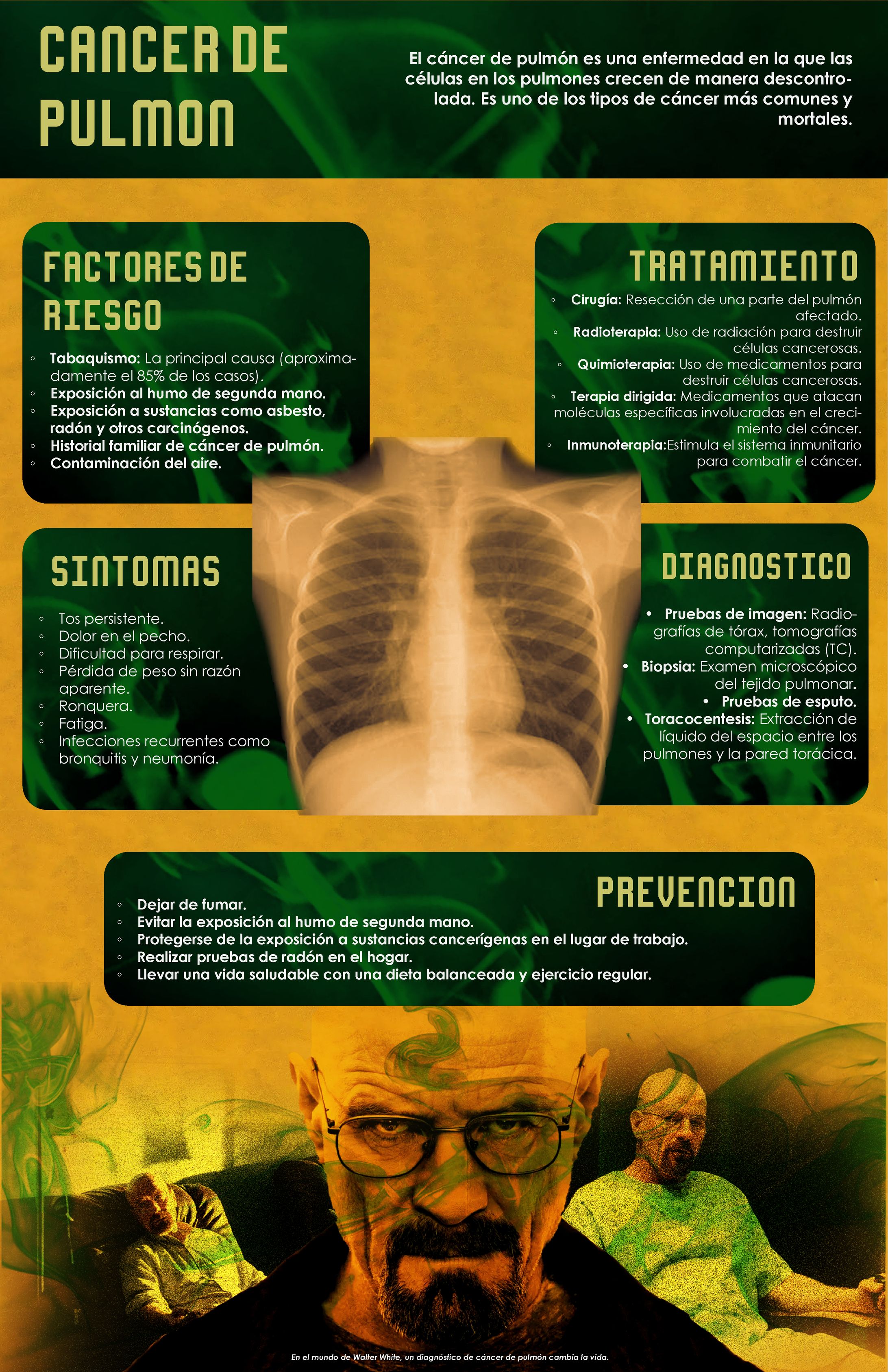 Infografía "Cáncer de pulmón"-1