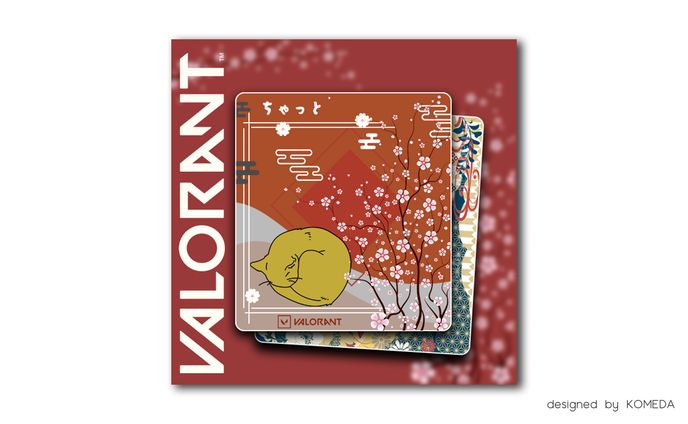 VALORANT チャットボックス＆マップ隠し4