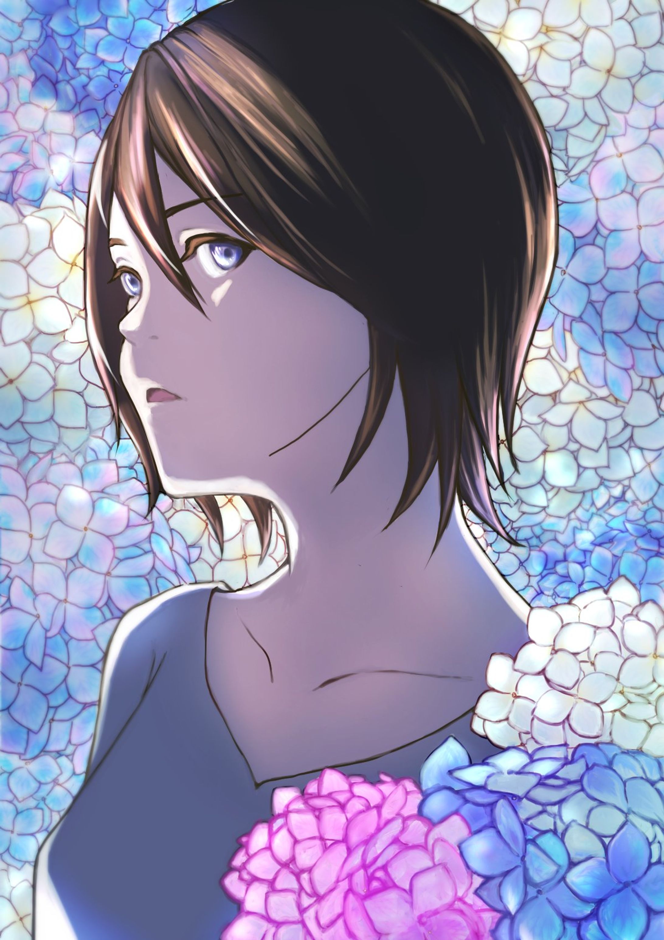 紫陽花-1