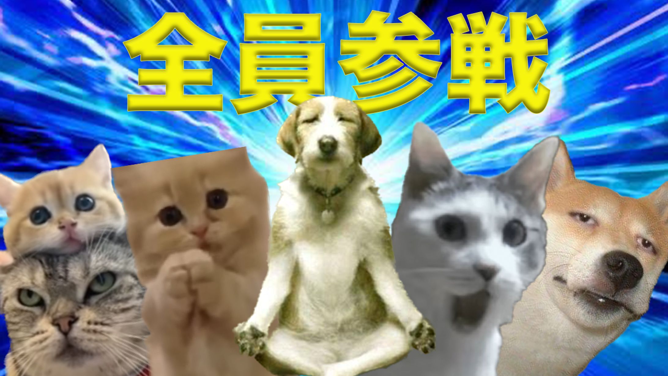 サムネイル-1