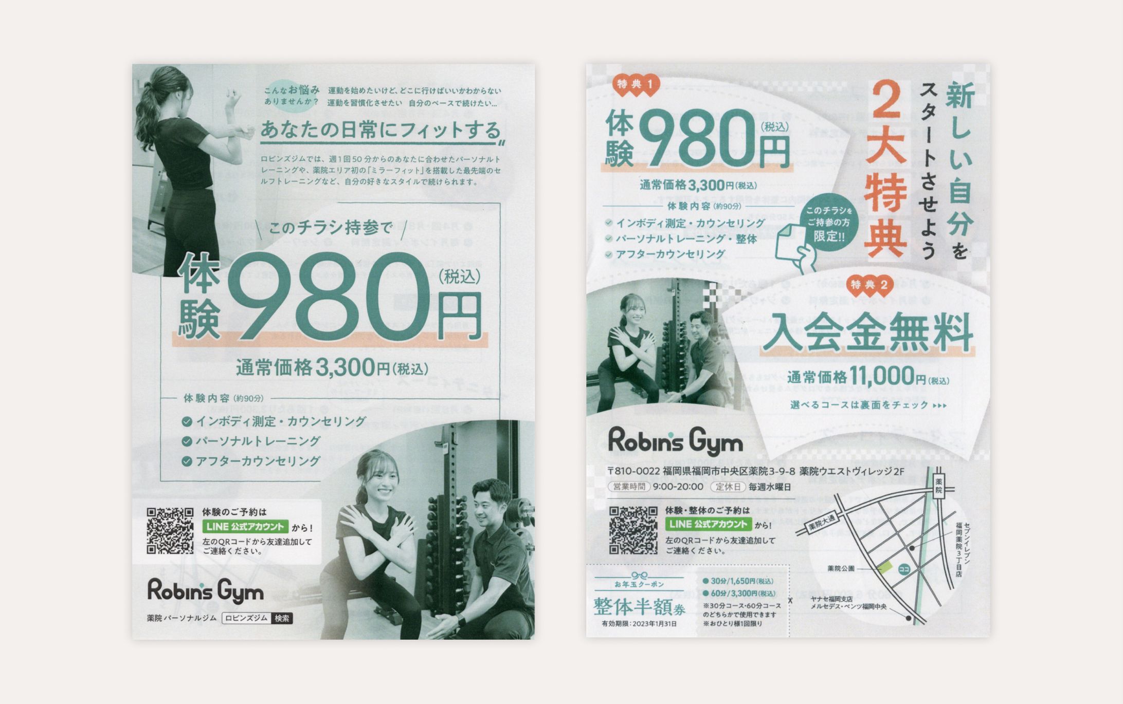 Robin's Gym - DTP-1