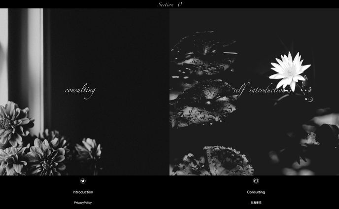 【Section0】consulting.mensbeauty.work