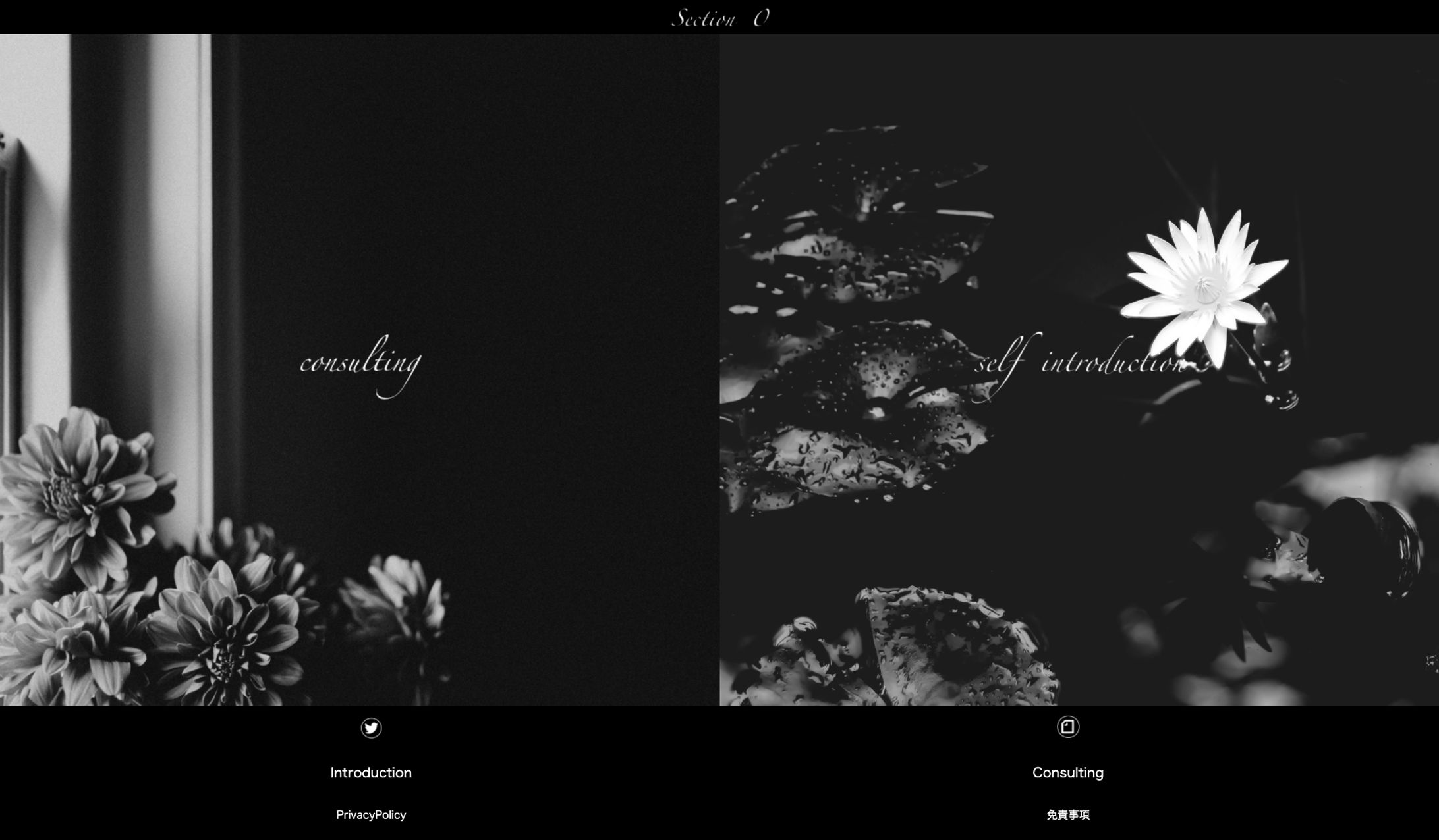 【Section0】consulting.mensbeauty.work-1