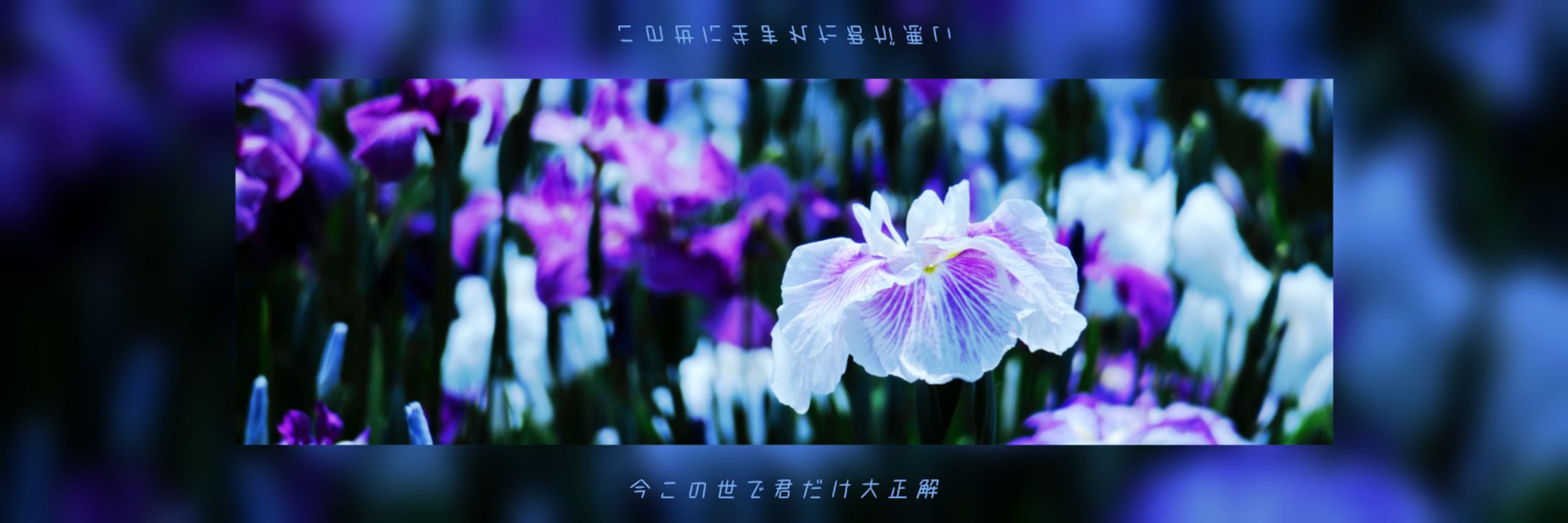 【X(旧Twitter)ヘッダー】米津玄師【IRIS OUT】-1