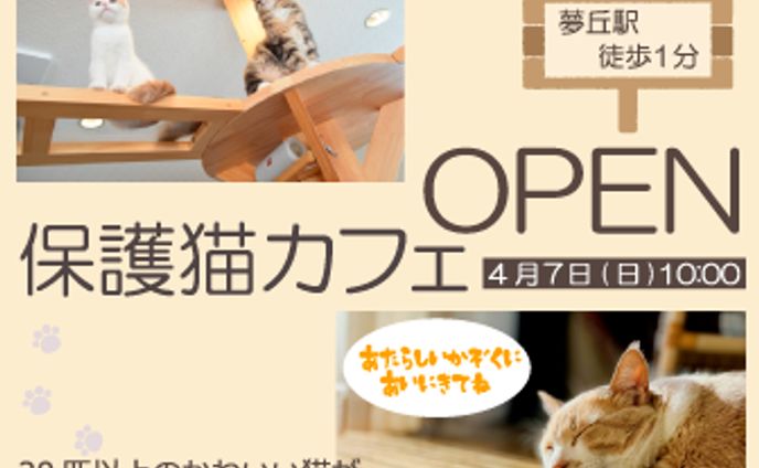 保護猫カフェＯＰＥＮ記念のバナーです