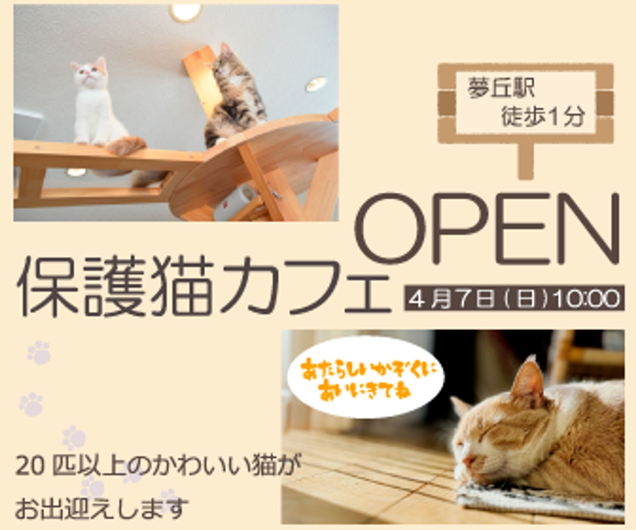 保護猫カフェＯＰＥＮ記念のバナーです-1