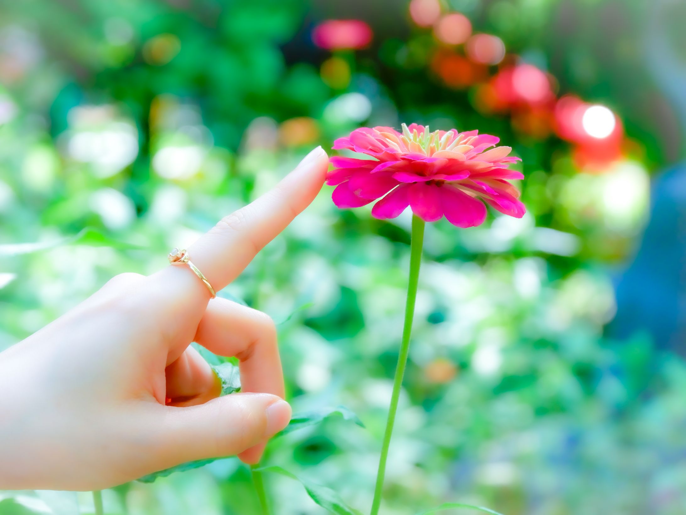 写真撮影 雑感-1