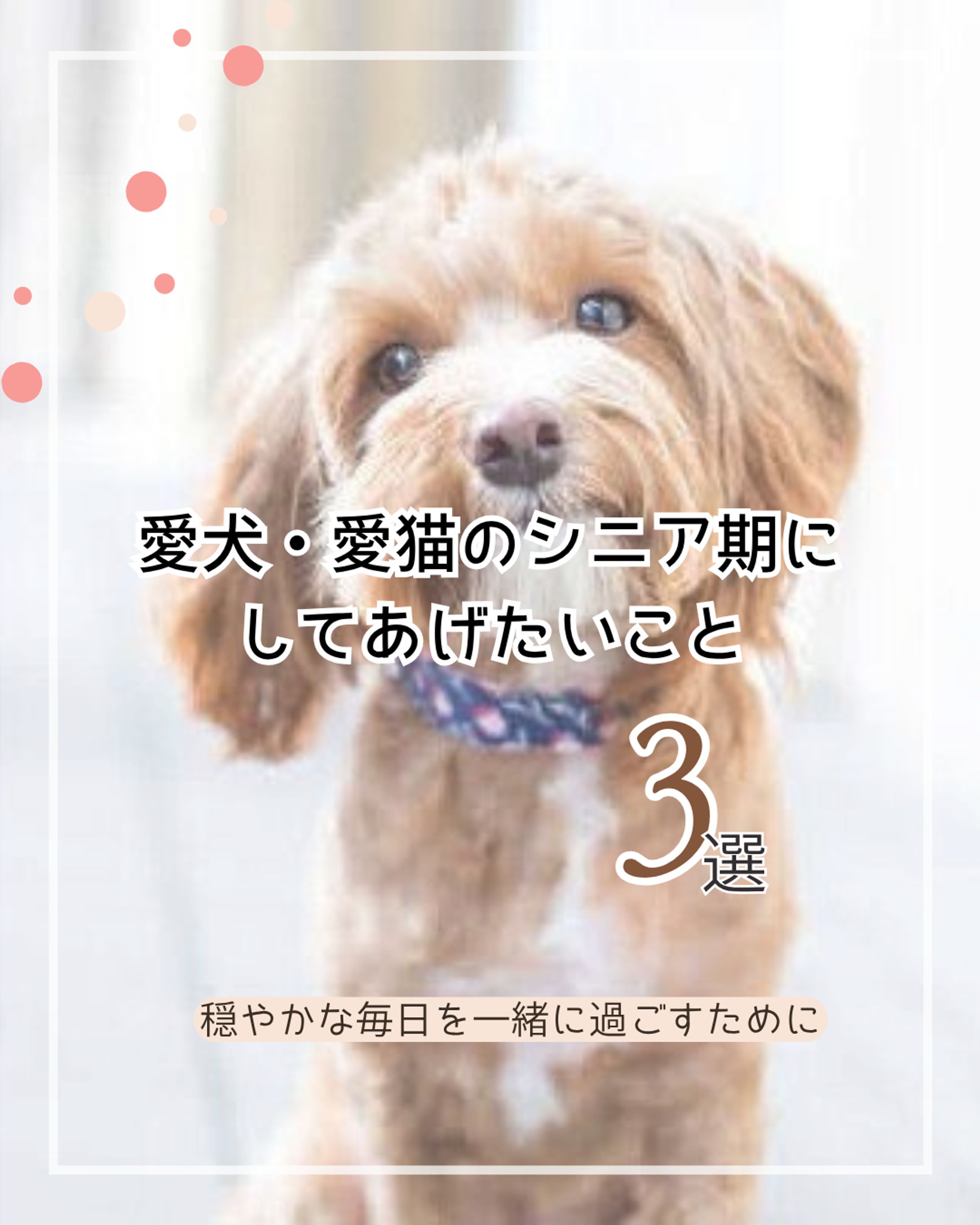 フィード画像/インスタ投稿用画像（実案件）-1