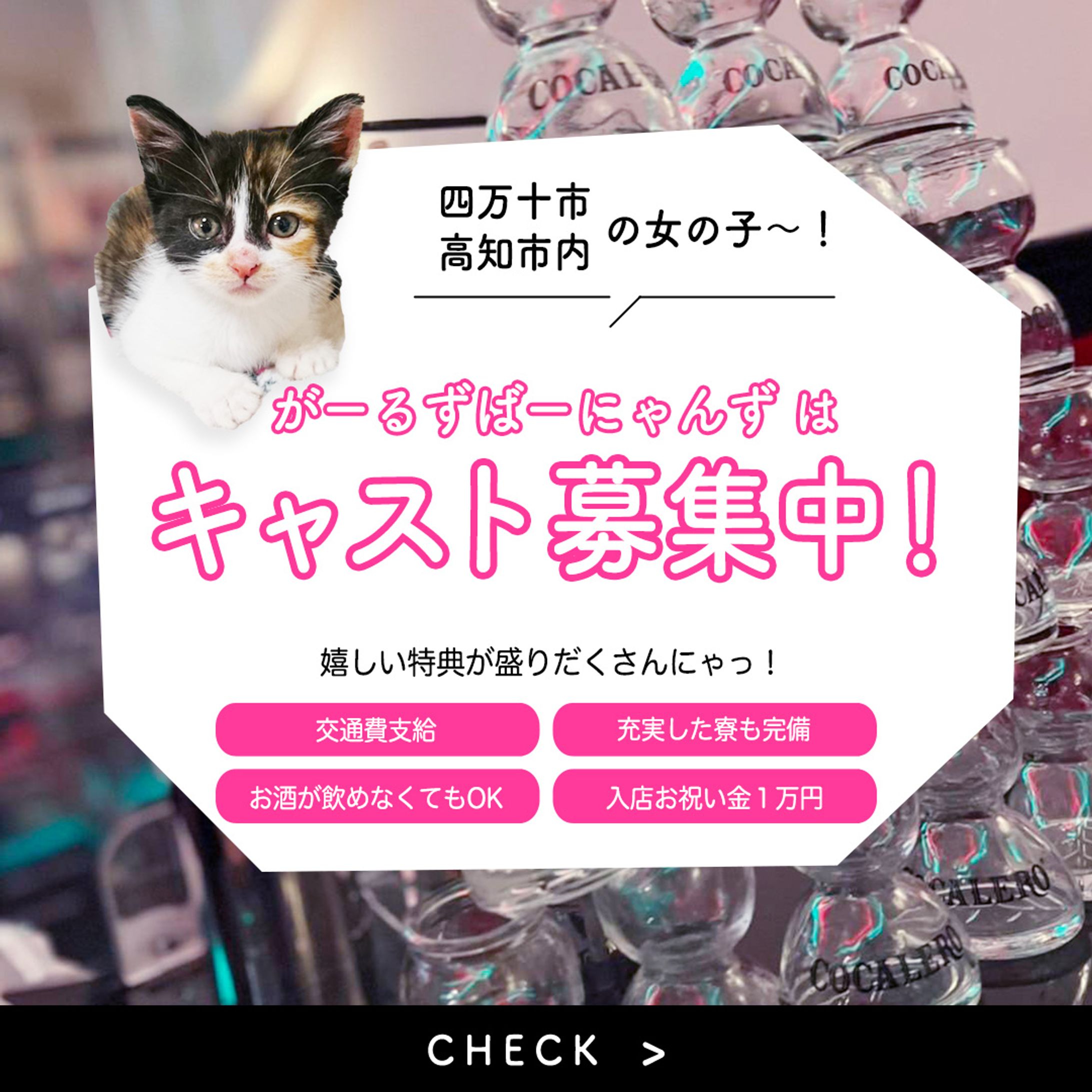 「がーるずばーにゃんず」バナー-01-1