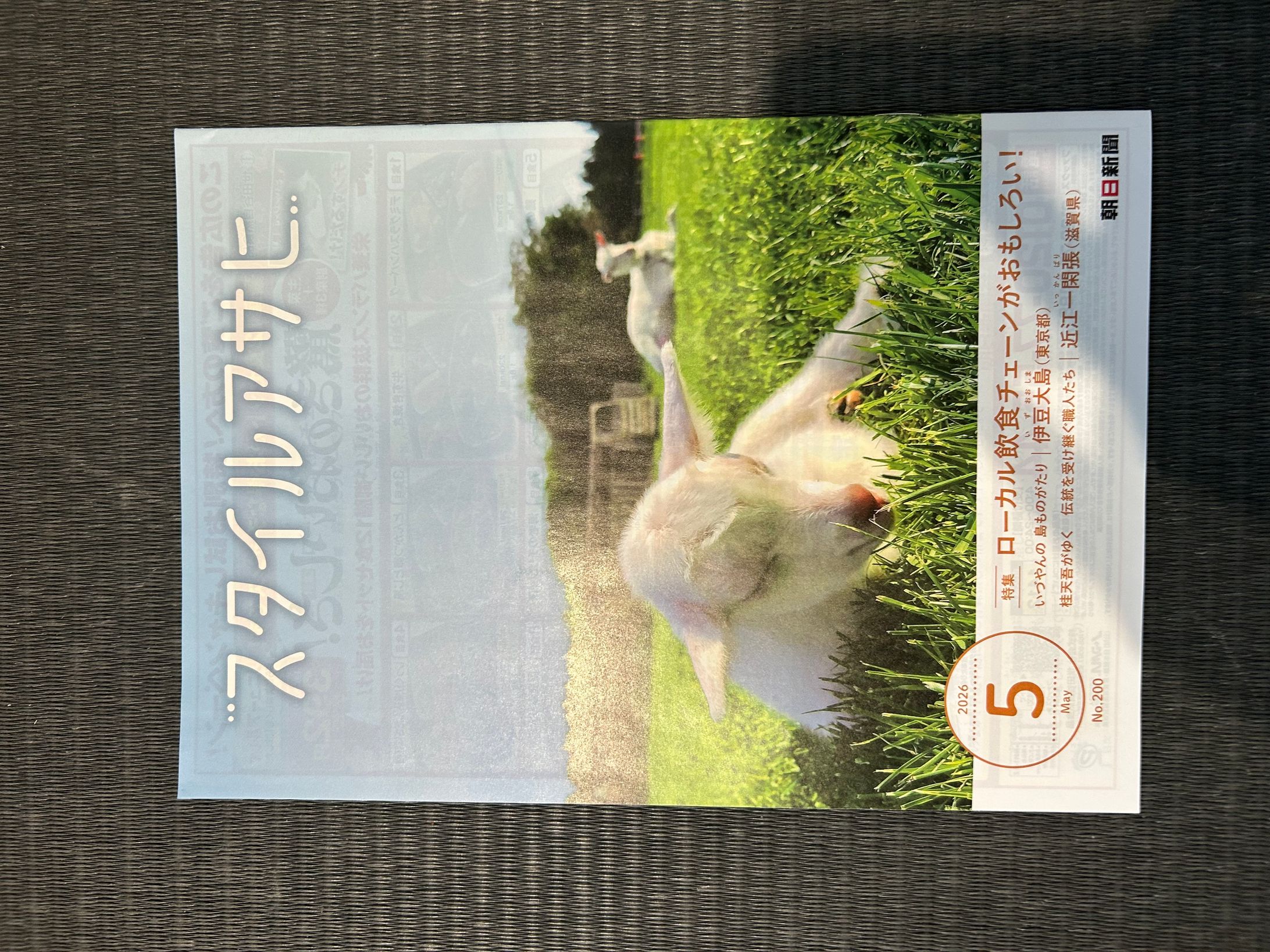 スタイルアサヒ　2026年5月号-1