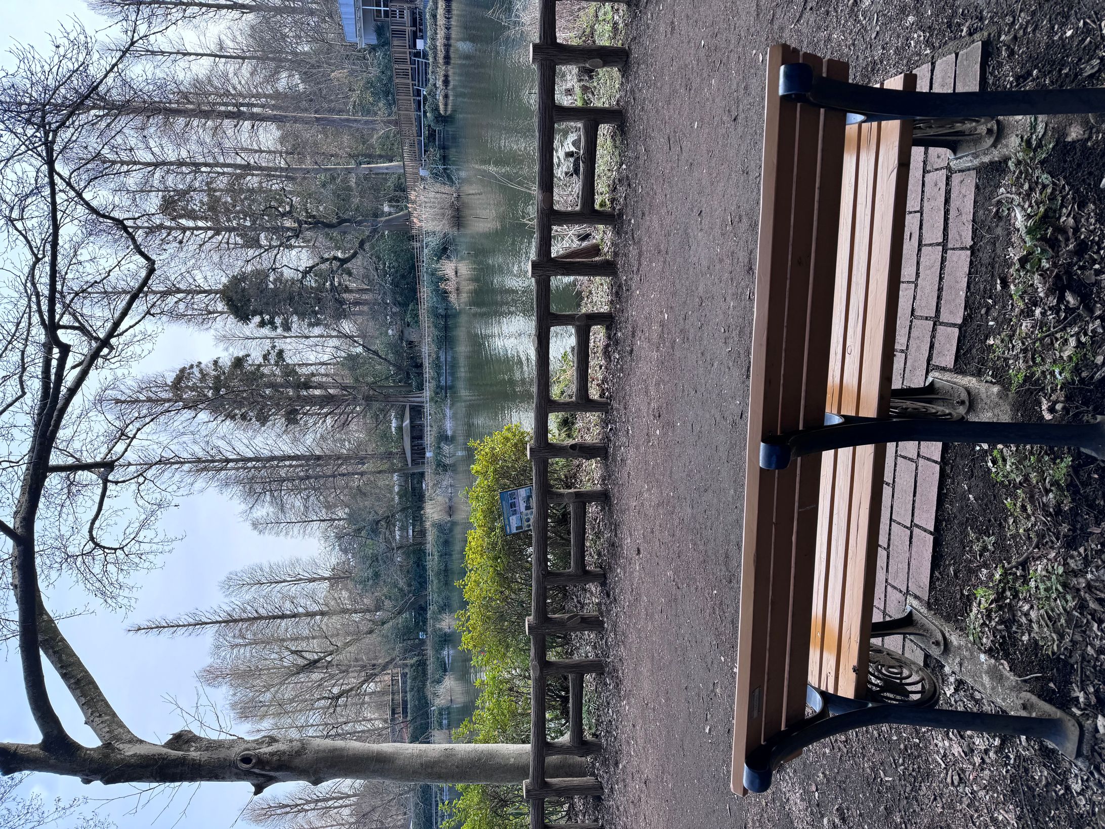 井の頭公園-1