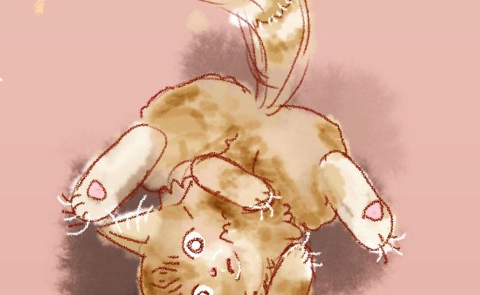 デザイナー、イラストレーター、グラフィックデザイン