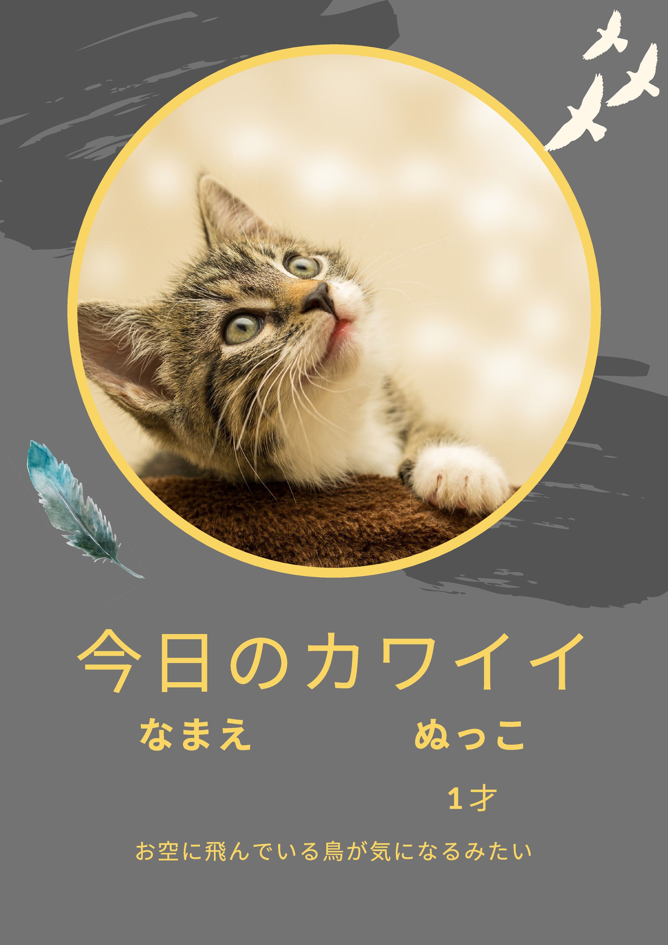 ポートフォリオ-1