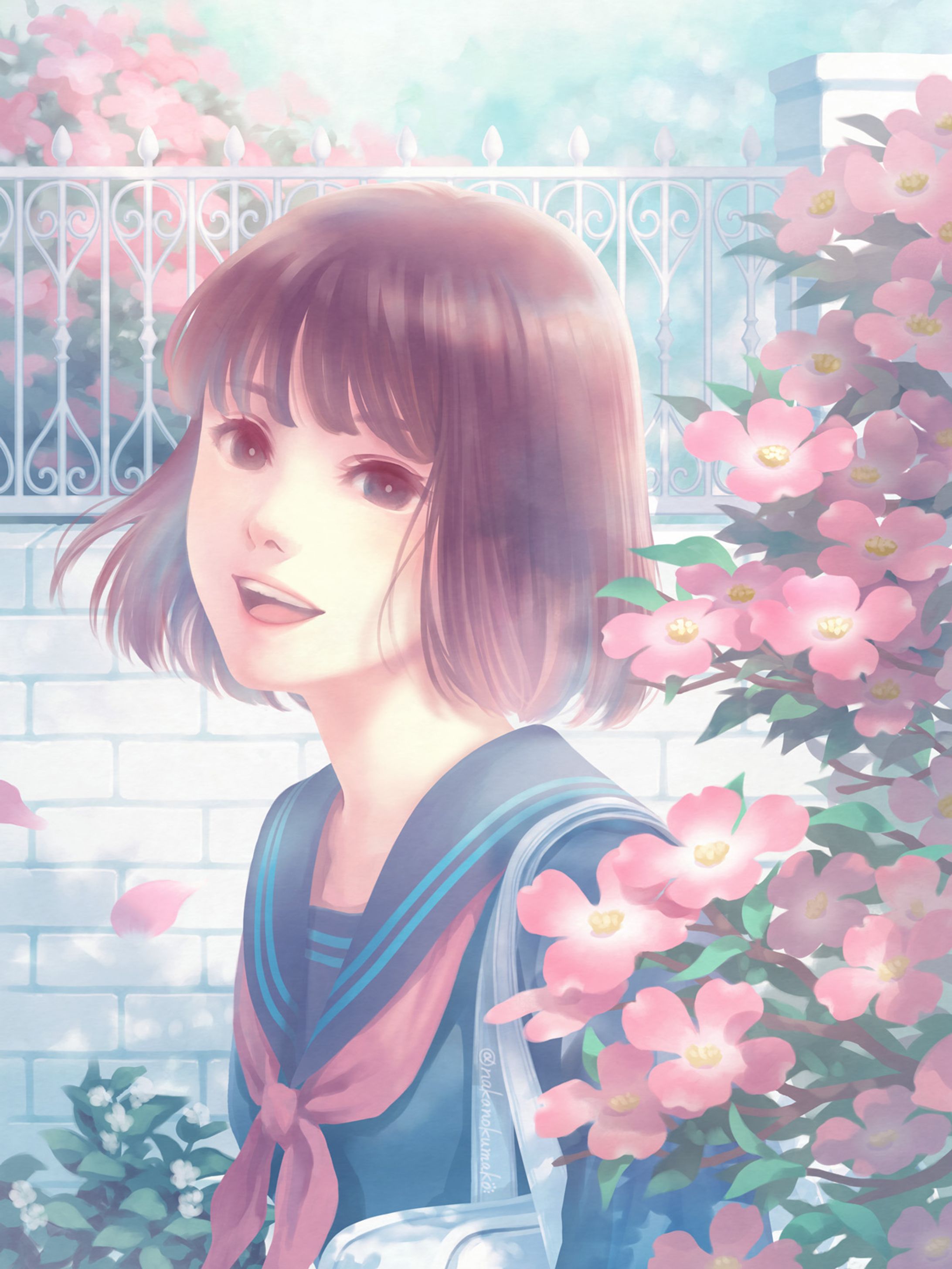 ＜ハナミズキ＞-1