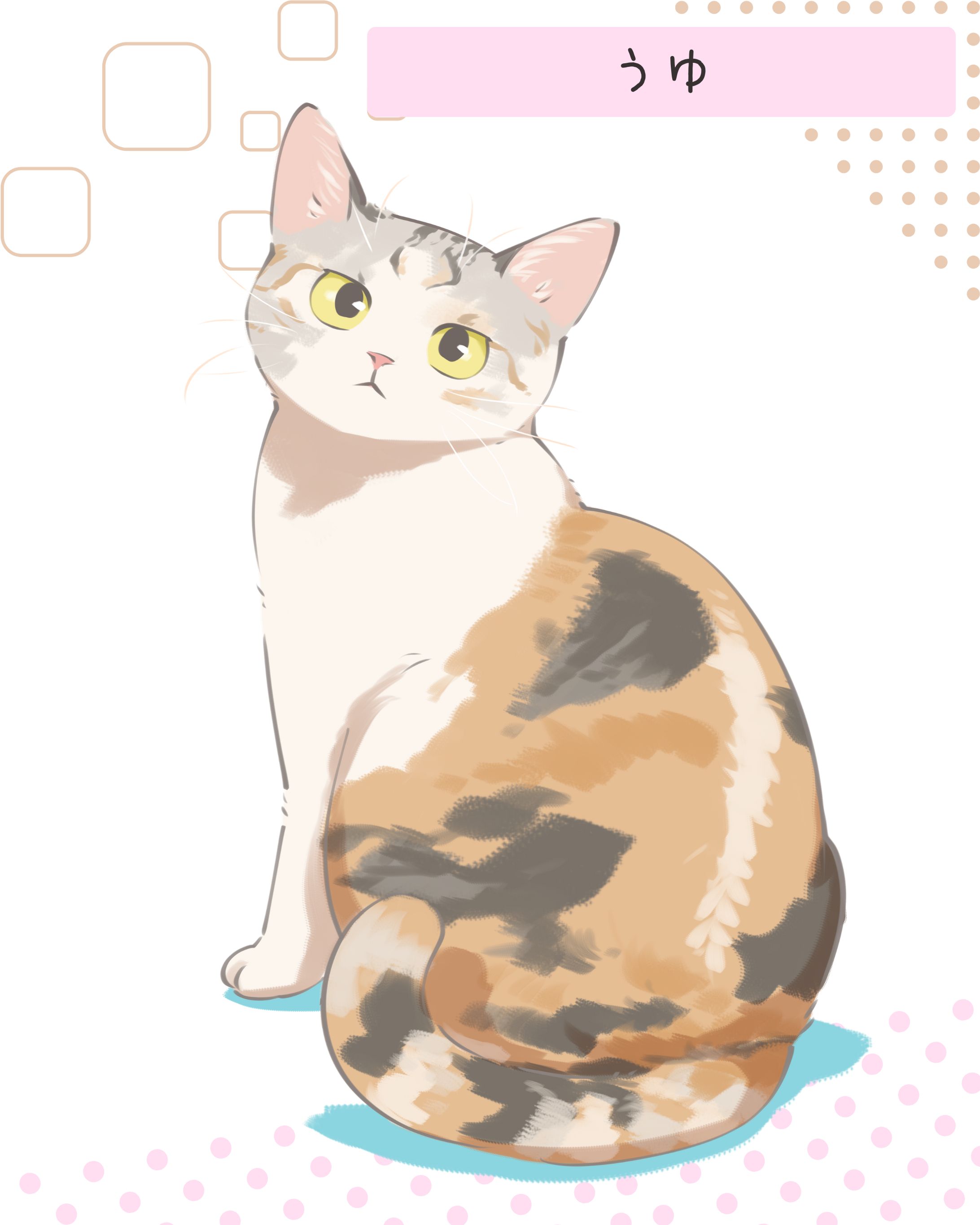 進化ねこ-1