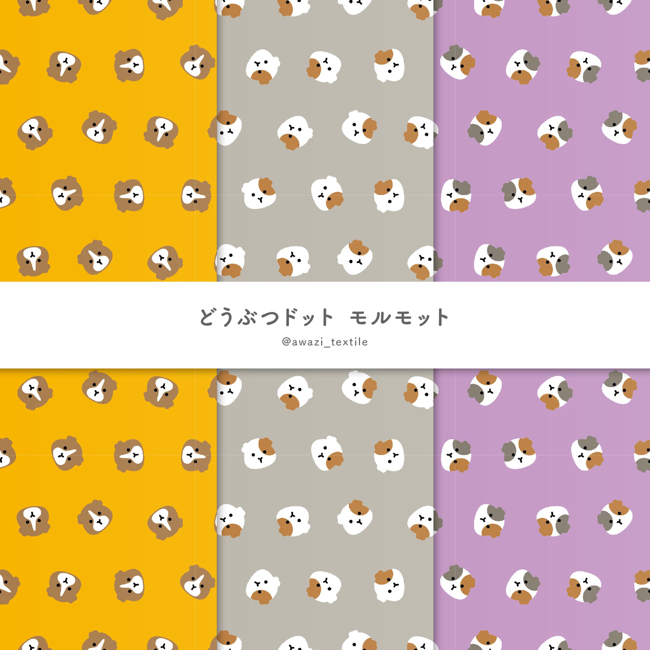 モルモットドット-1