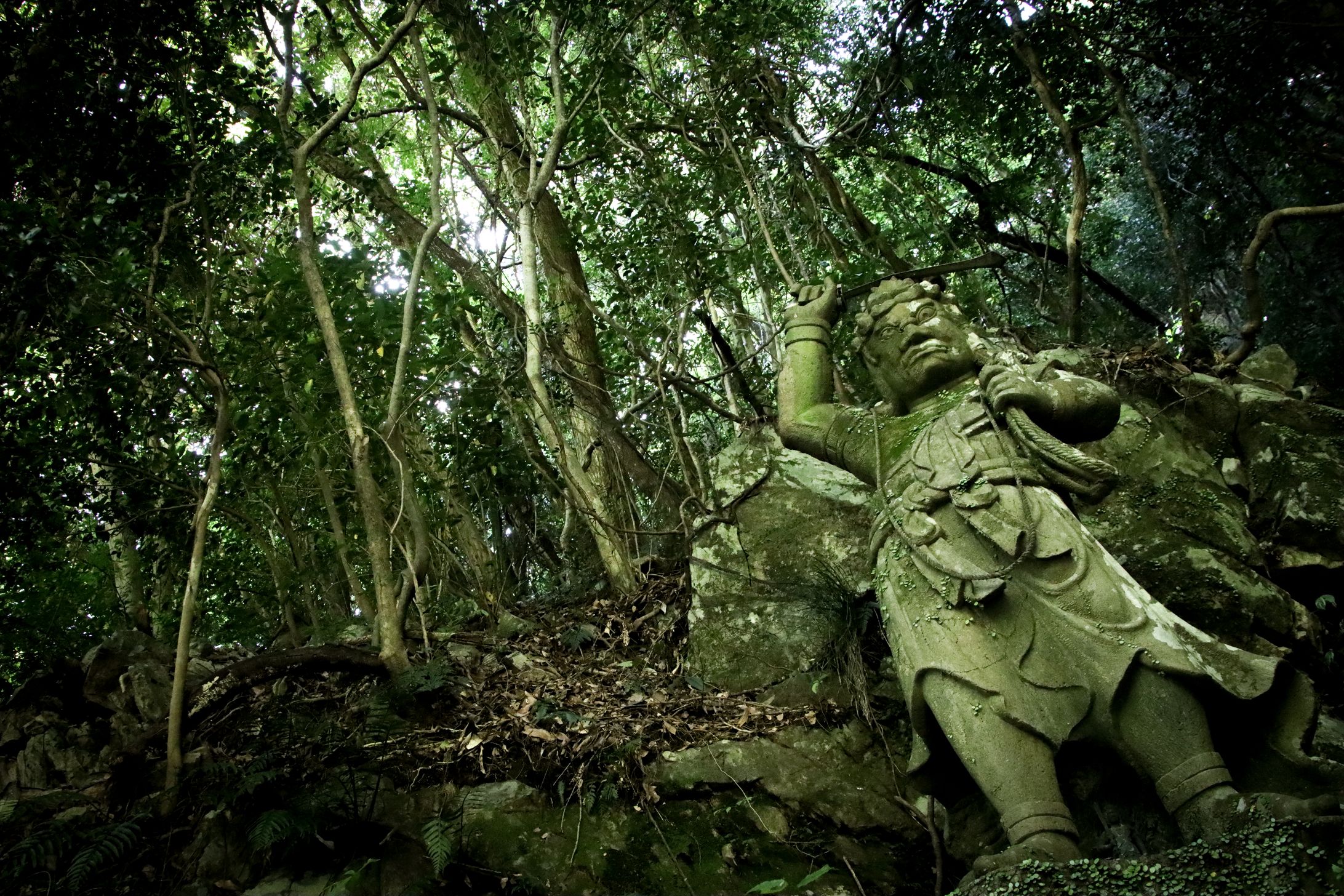 自然/Photo-1