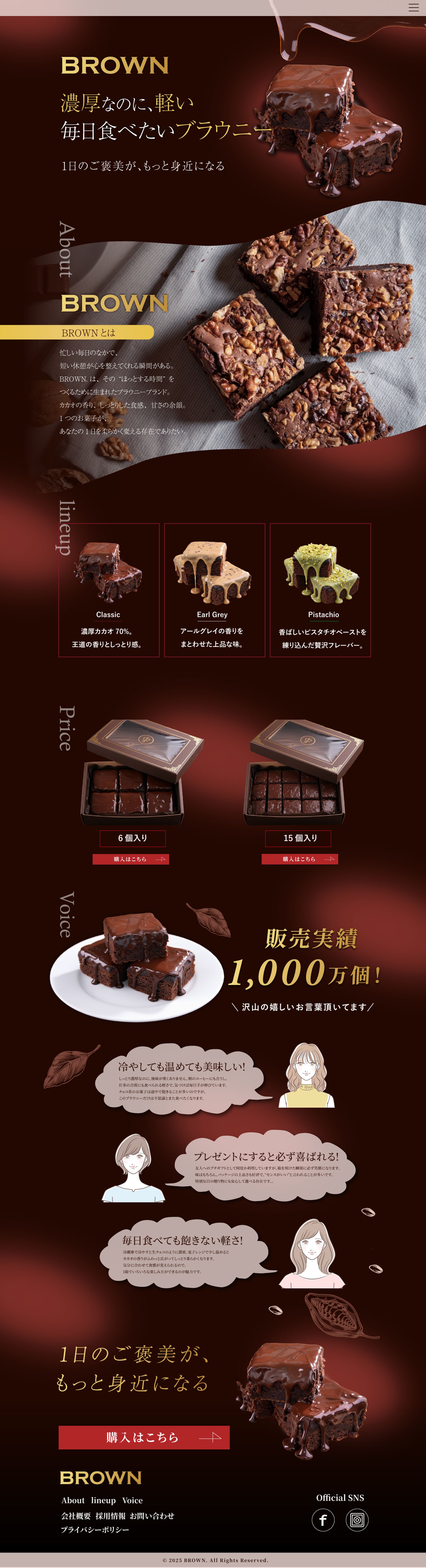 ブラウニーのHP-1