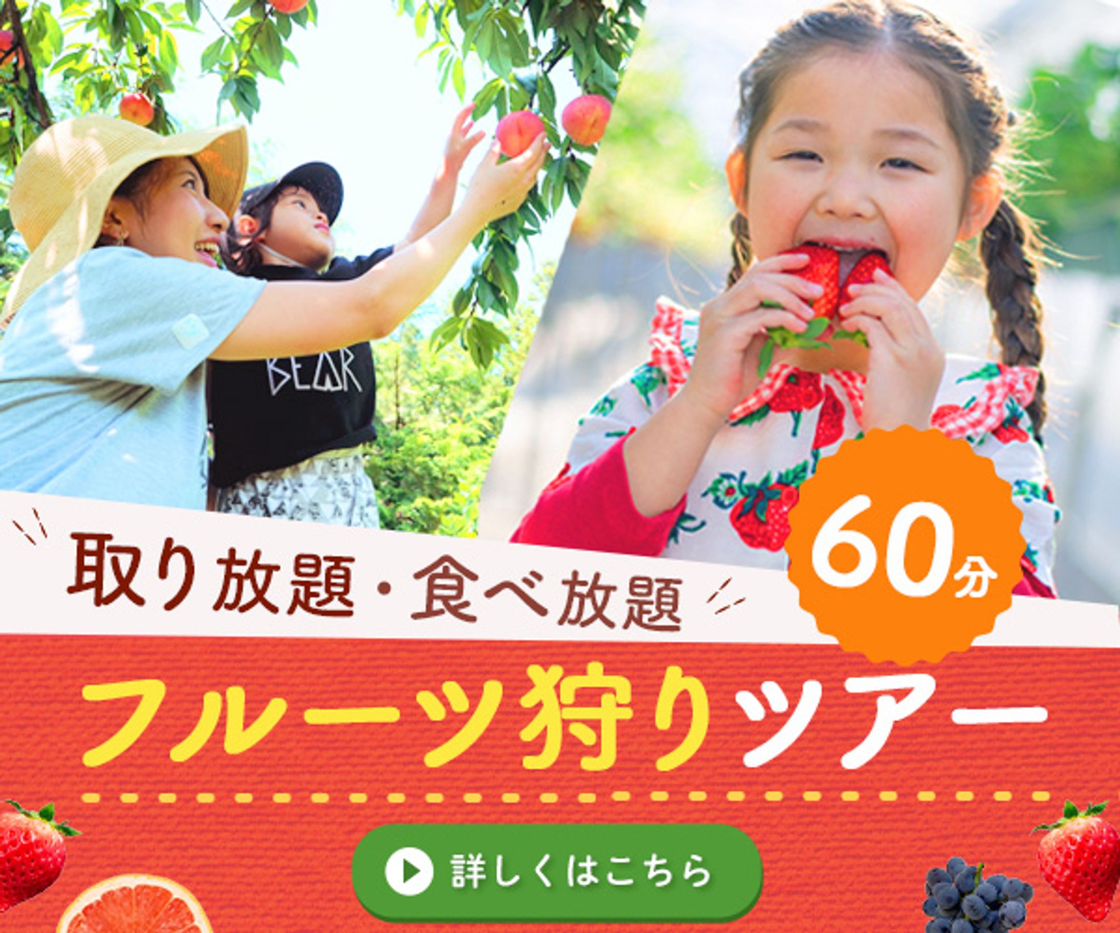 バナー：フルーツ狩りツアー-1