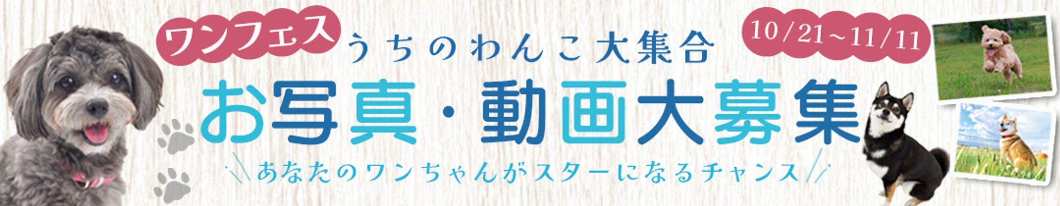 バナー：ワンフェス-1