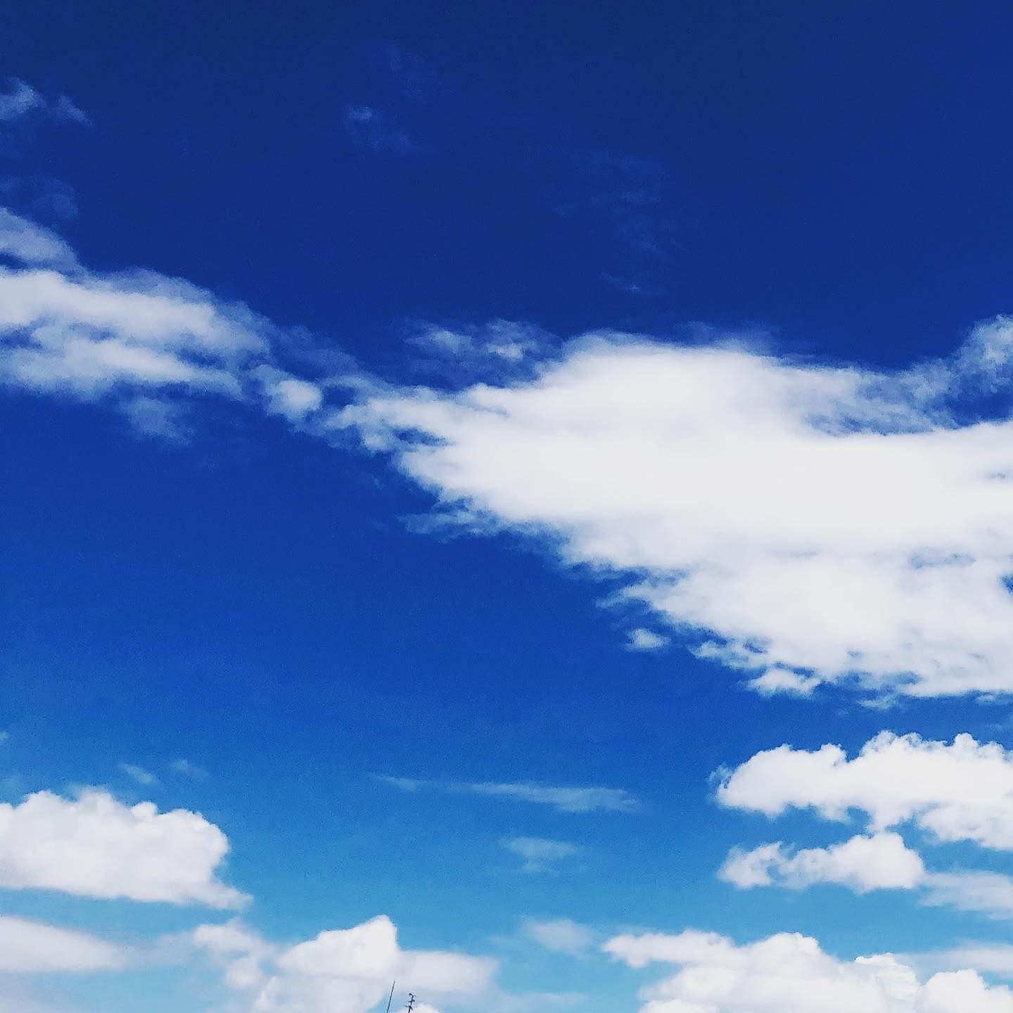 夏#夏空#sky#景色#影#空#青空#真上の空 すべては始まっている