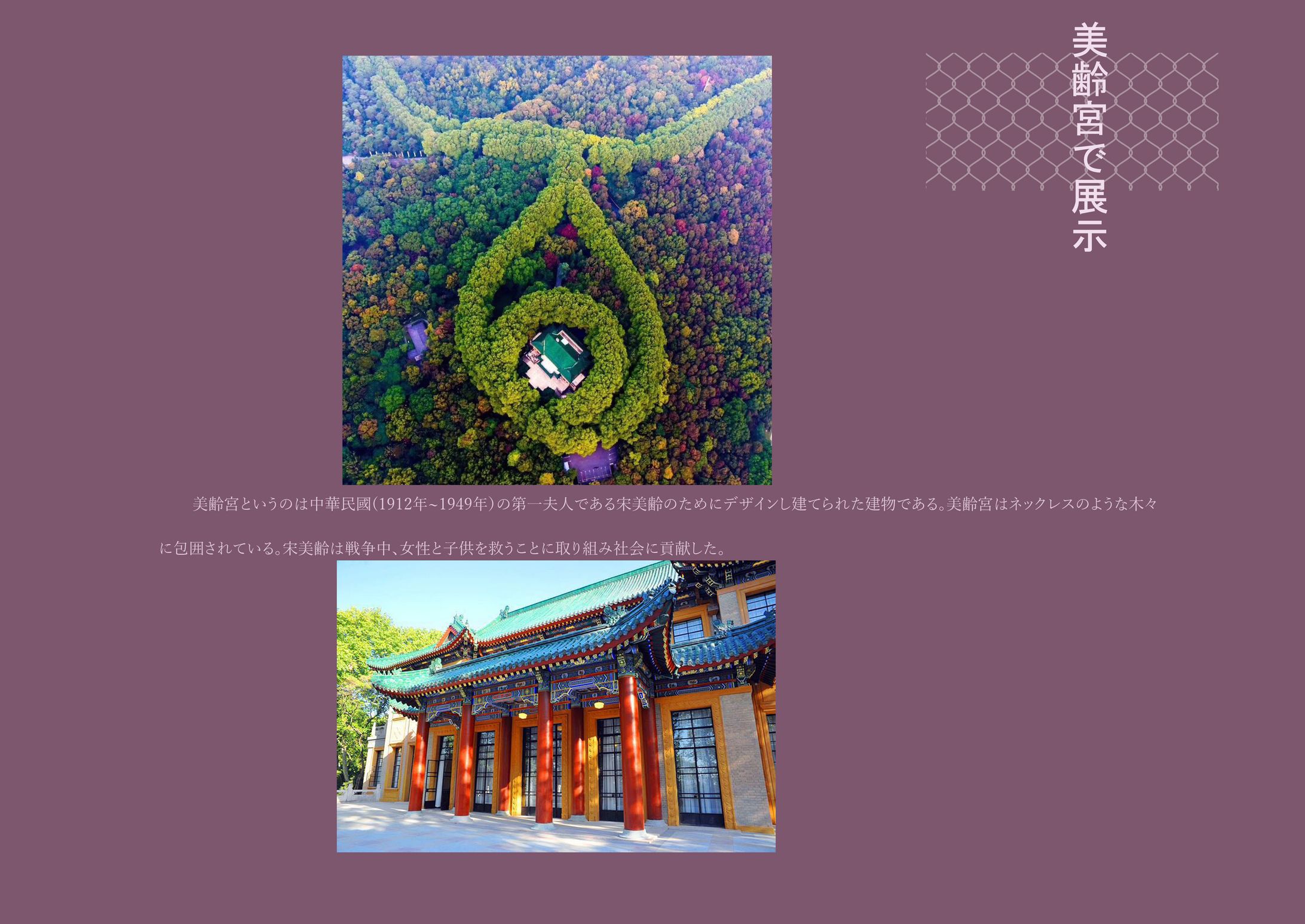 Collab　Mailing Palace-1