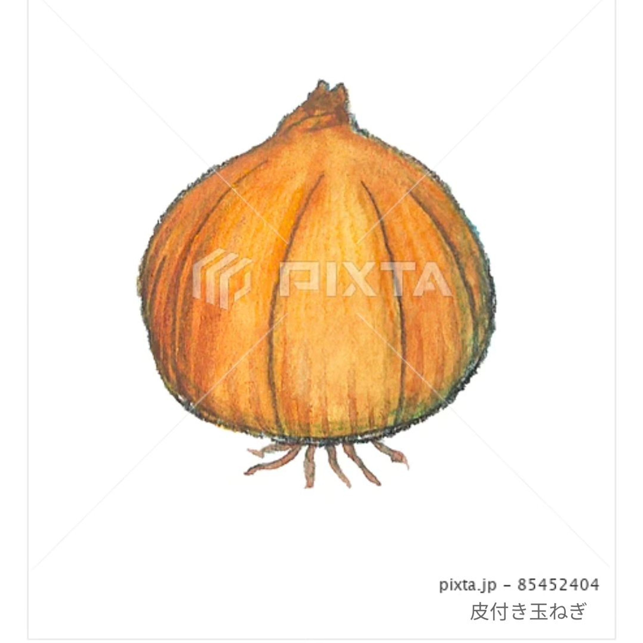 ⁡■【お野菜】
＼🧅玉ねぎ🧅／
⁡⁡
⁡⁡
⁡素材イラストとしてPIXTAさまにて販売中〜⁡
⁡よろしくお願いします⁡⁡🙇🏻‍♀️‪‪´-
⁡⁡⁡⁡
⁡
https://pixta.jp/illustration/85452404
⁡⁡⁡
⁡┈┈┈┈┈┈┈┈┈┈⁡
⁡⁡どうやっても涙無しには扱えない……でもおいしい……好き…🧅😭
⁡
⁡
⁡#素材イラスト #pixta #玉ねぎ #onion #watercolors #水彩色鉛筆 #illustration #イラスト #クライアントさんと繋がりたい #挿絵 #出版社さんと繋がりたい  #食べ物イラスト #野菜イラスト #雑誌のお仕事をしたい #飲食店さんを応援したい #書籍のお仕事をしたい-1